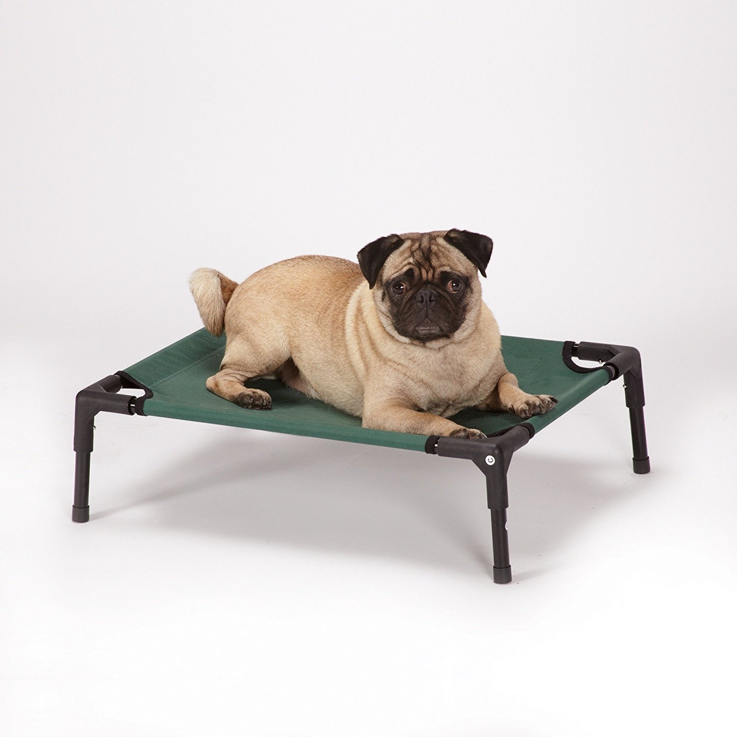 Amazon.com : Guardian Gear Elevated Dog Cot, Small : Pet Beds : Pet ...