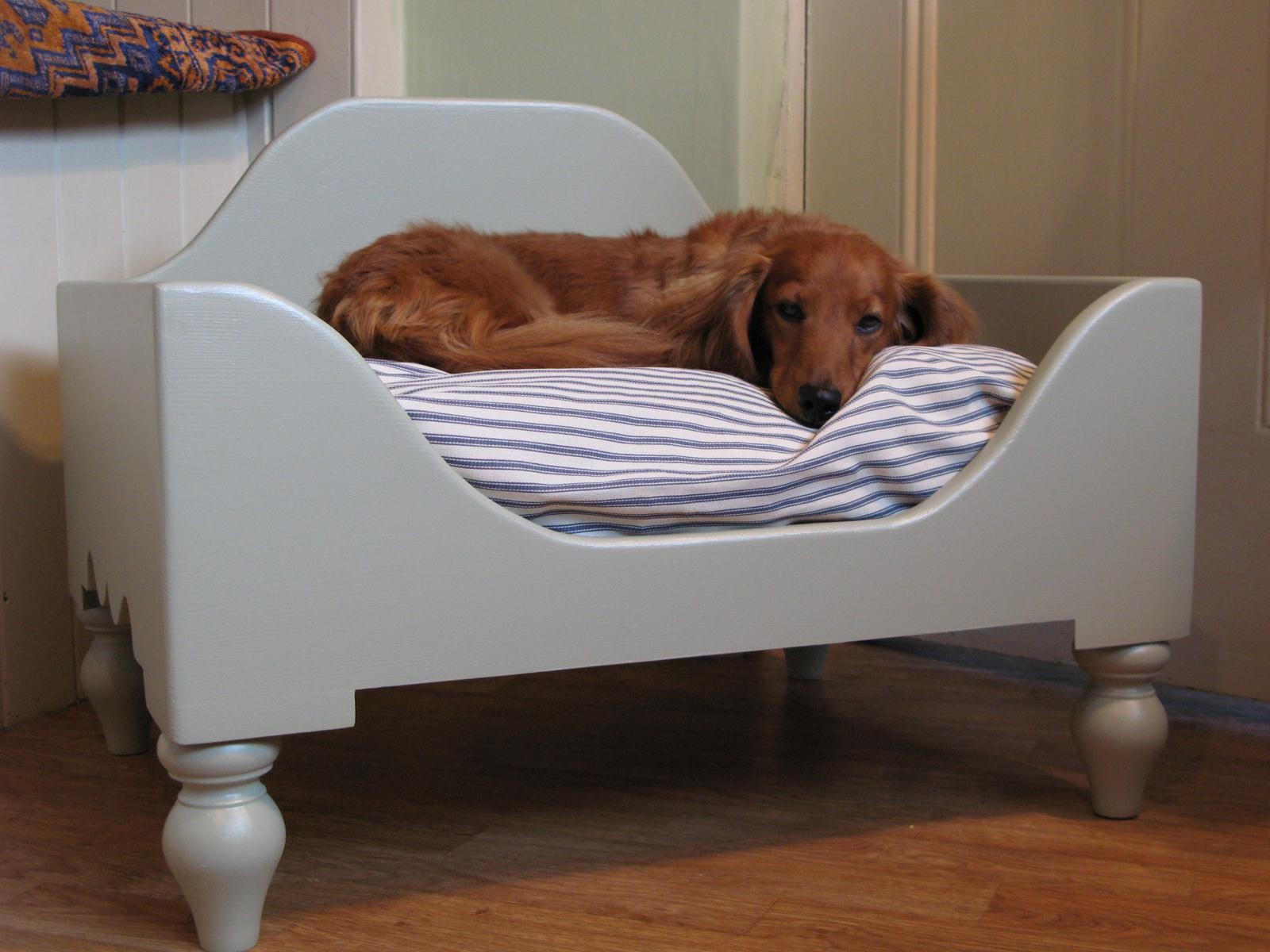 Ideas Elevated Dog Bed | Invisibleinkradio Home Decor