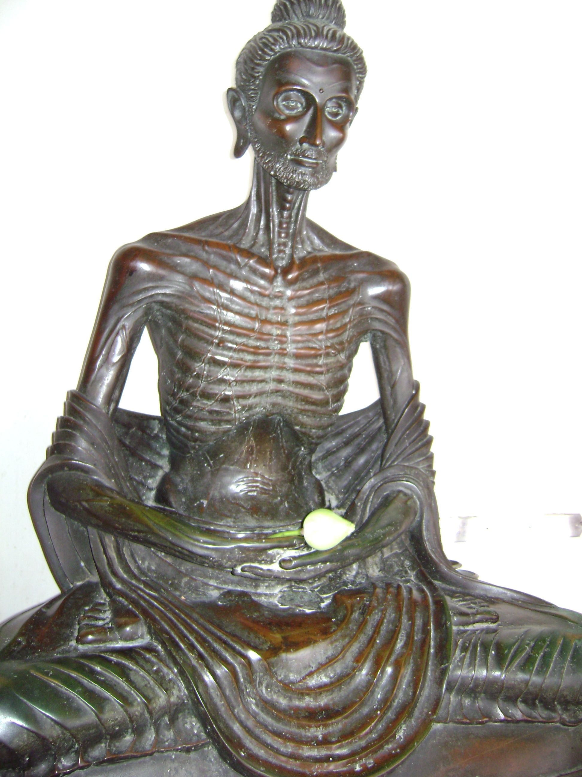 Emaciated buddha photo