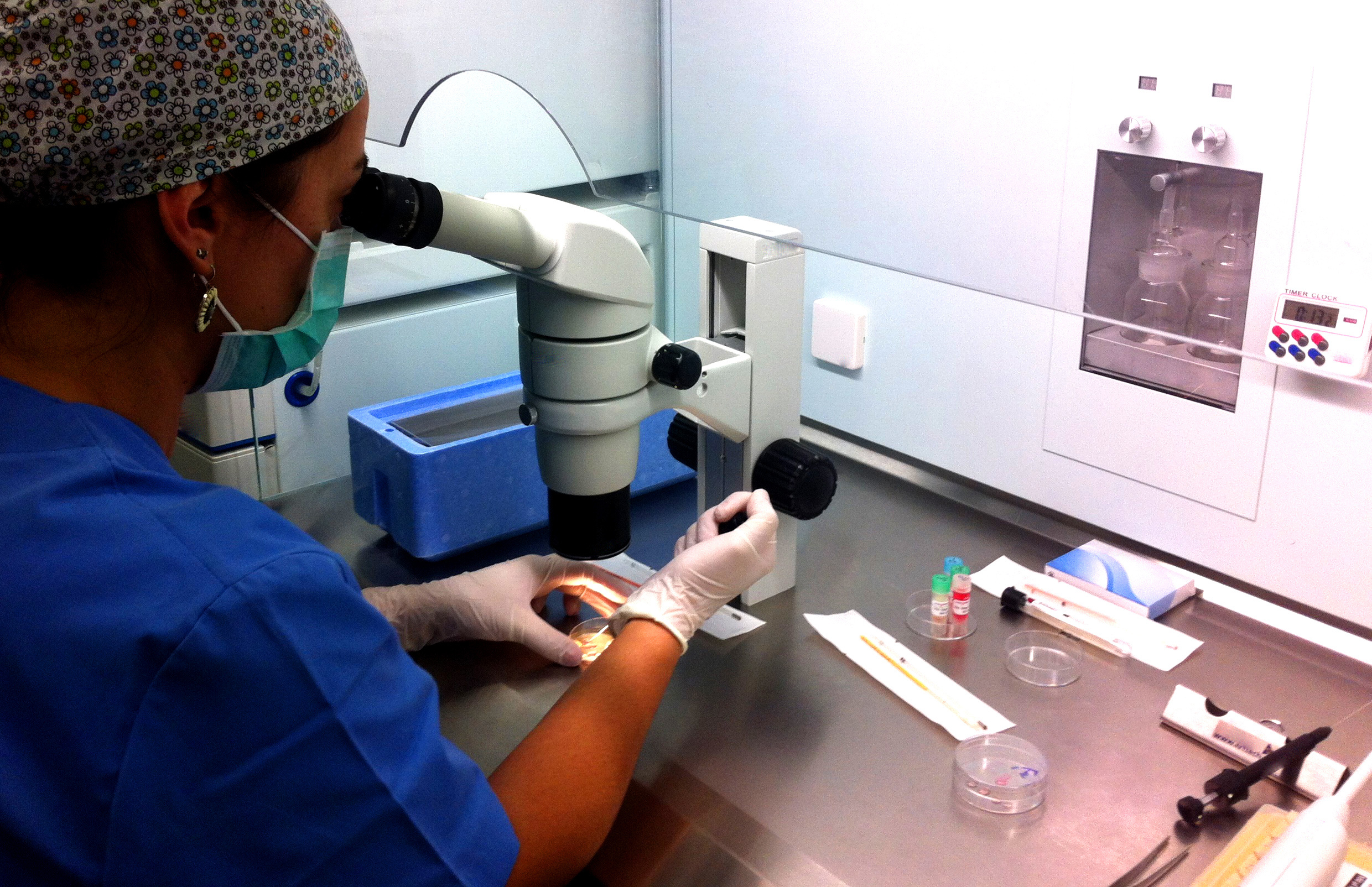 Embryologist, 20s, Procedure, Method, Microscope, HQ Photo