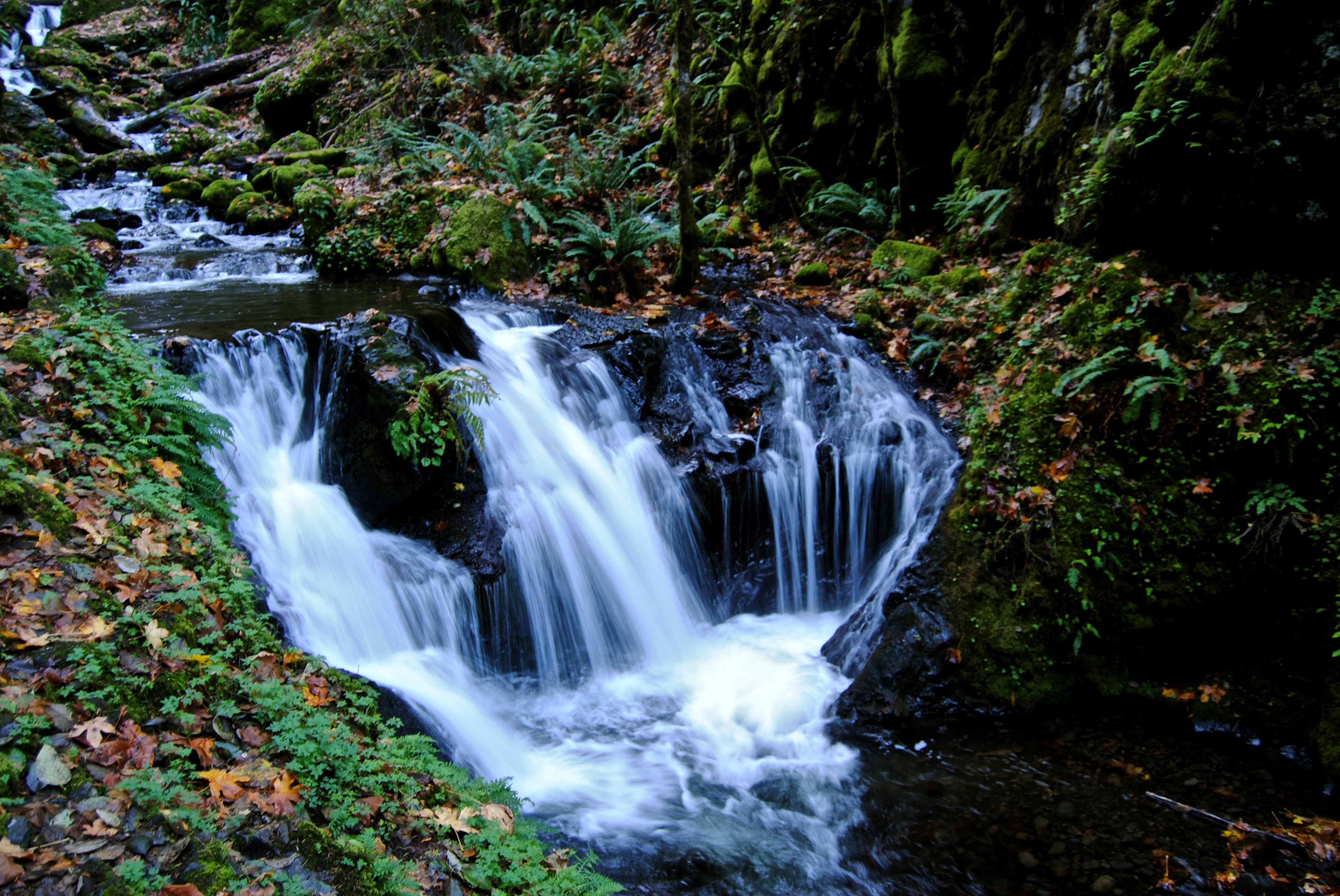 Gorton Creek Falls & Emerald Falls (Autumn) | Hikelandia