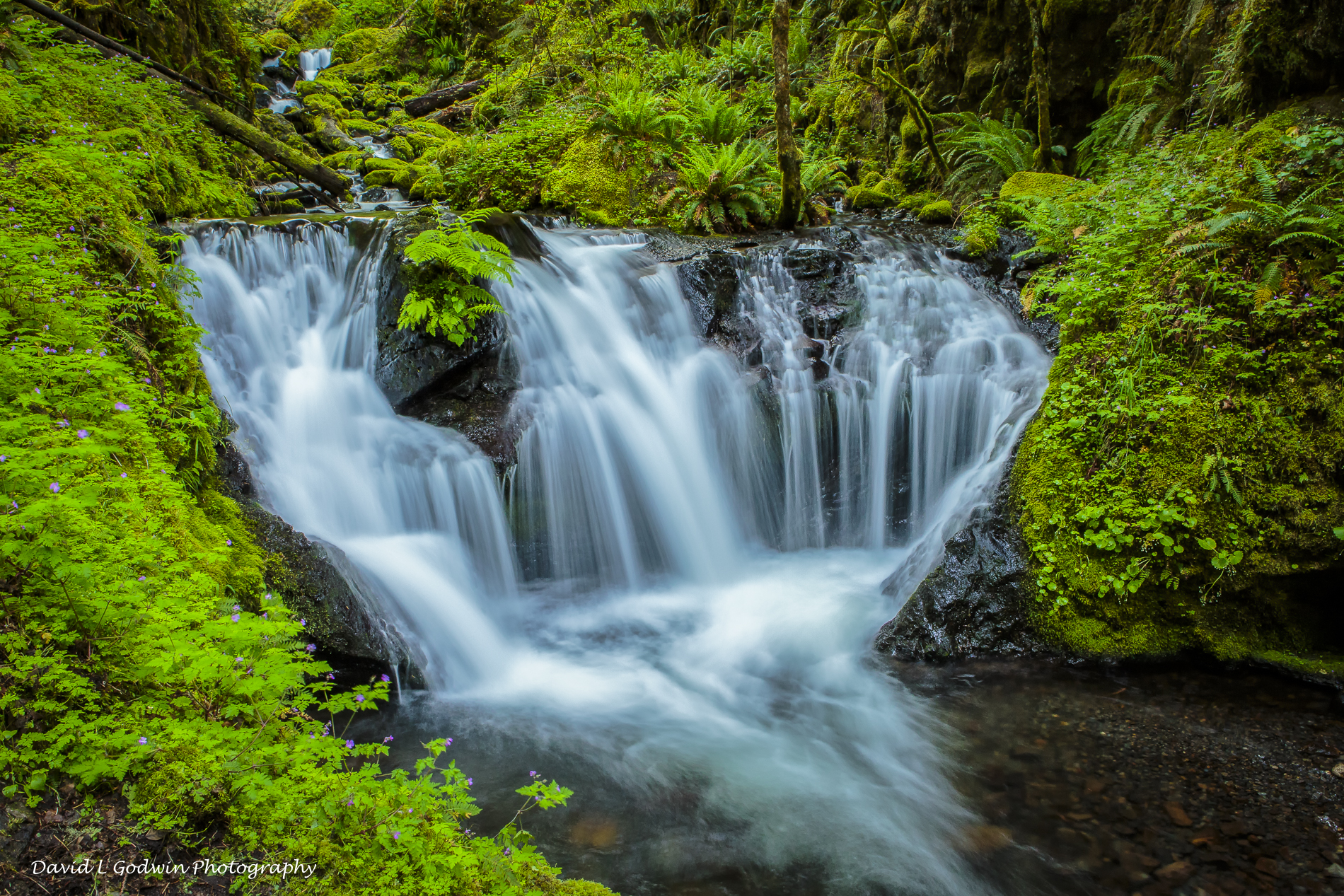 Emerald Falls Oregon - David L Godwin Photography