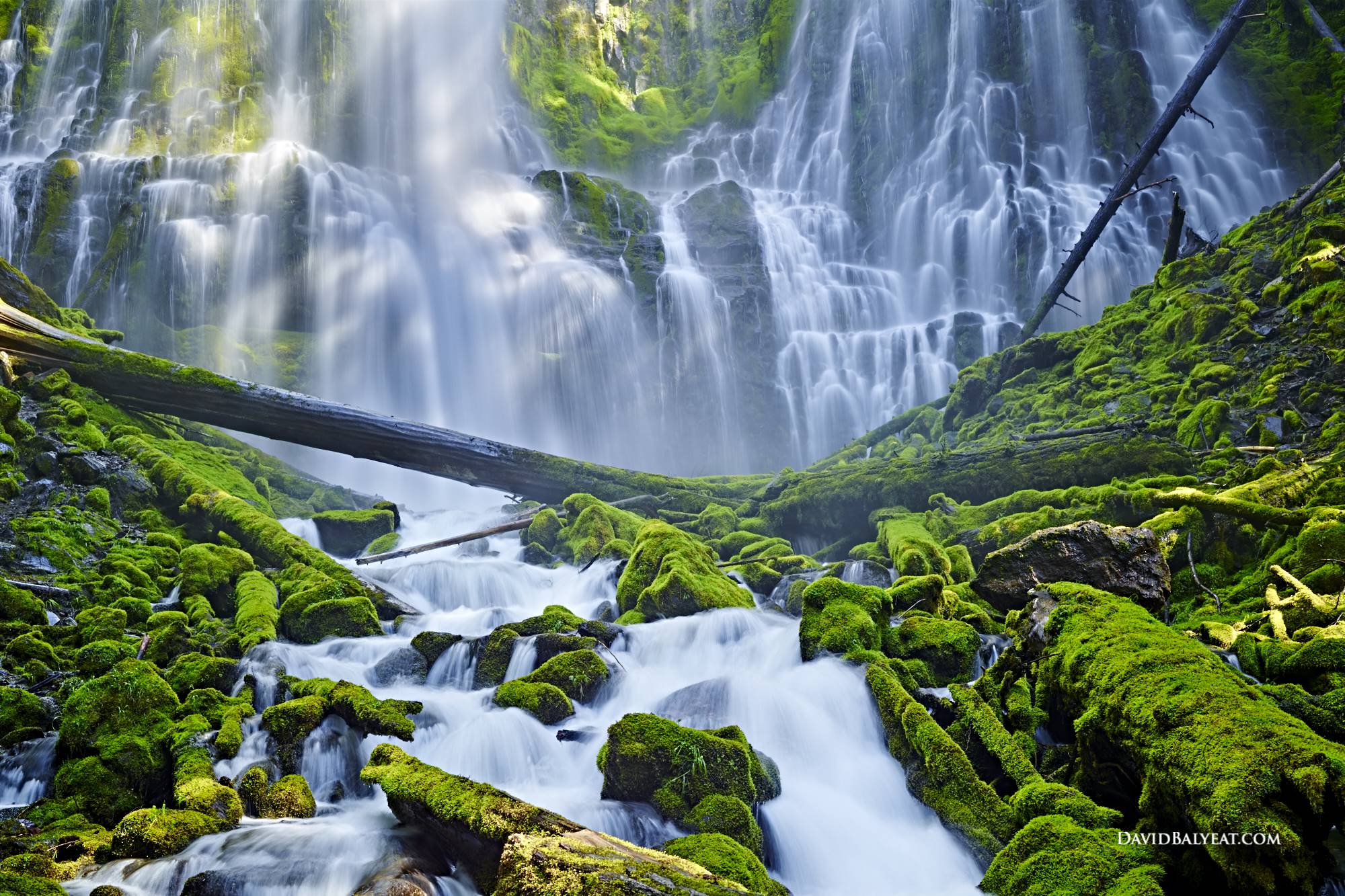 Emerald Cascade - Proxy Falls, Oregon • David Balyeat Photography ...