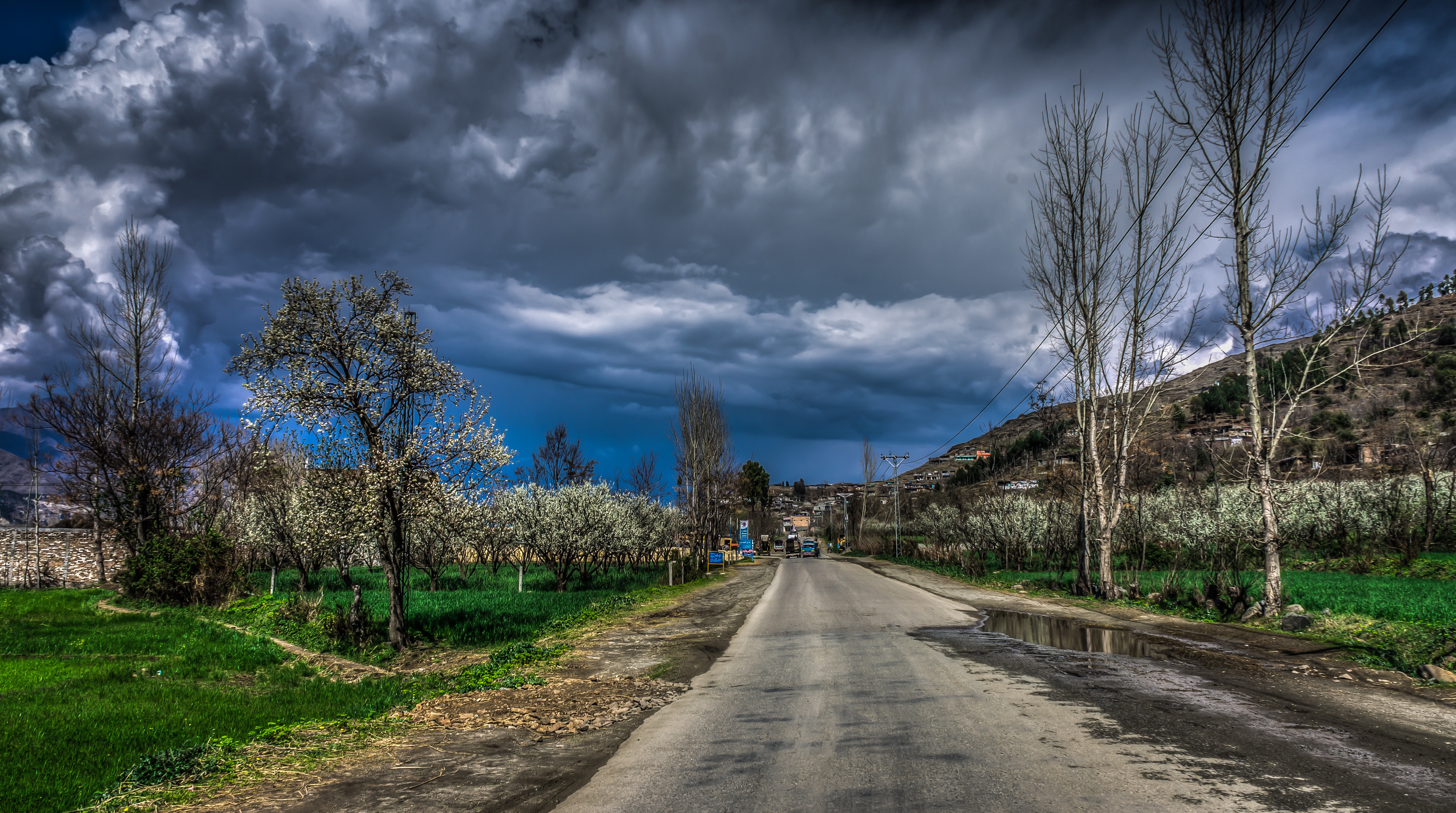Empty concrete road surrounded by trees and grass under blue sky with heavy clouds photo