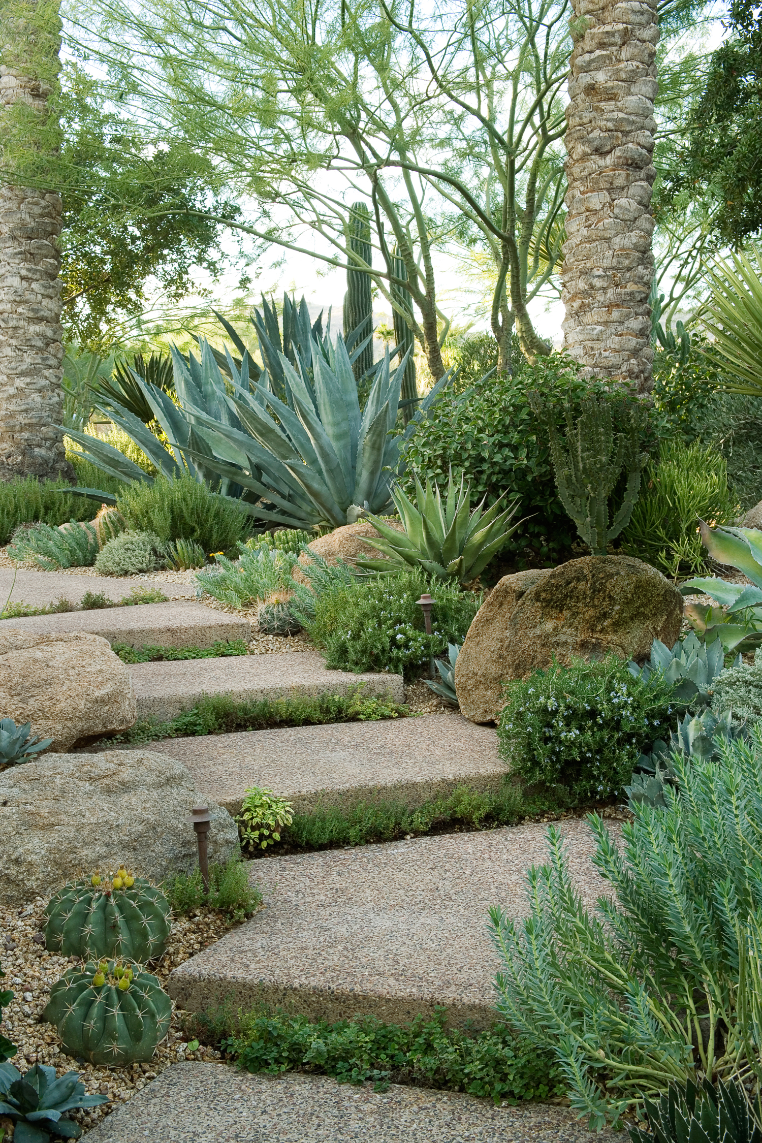 38 Gorgeous Garden Paths - Sunset Magazine