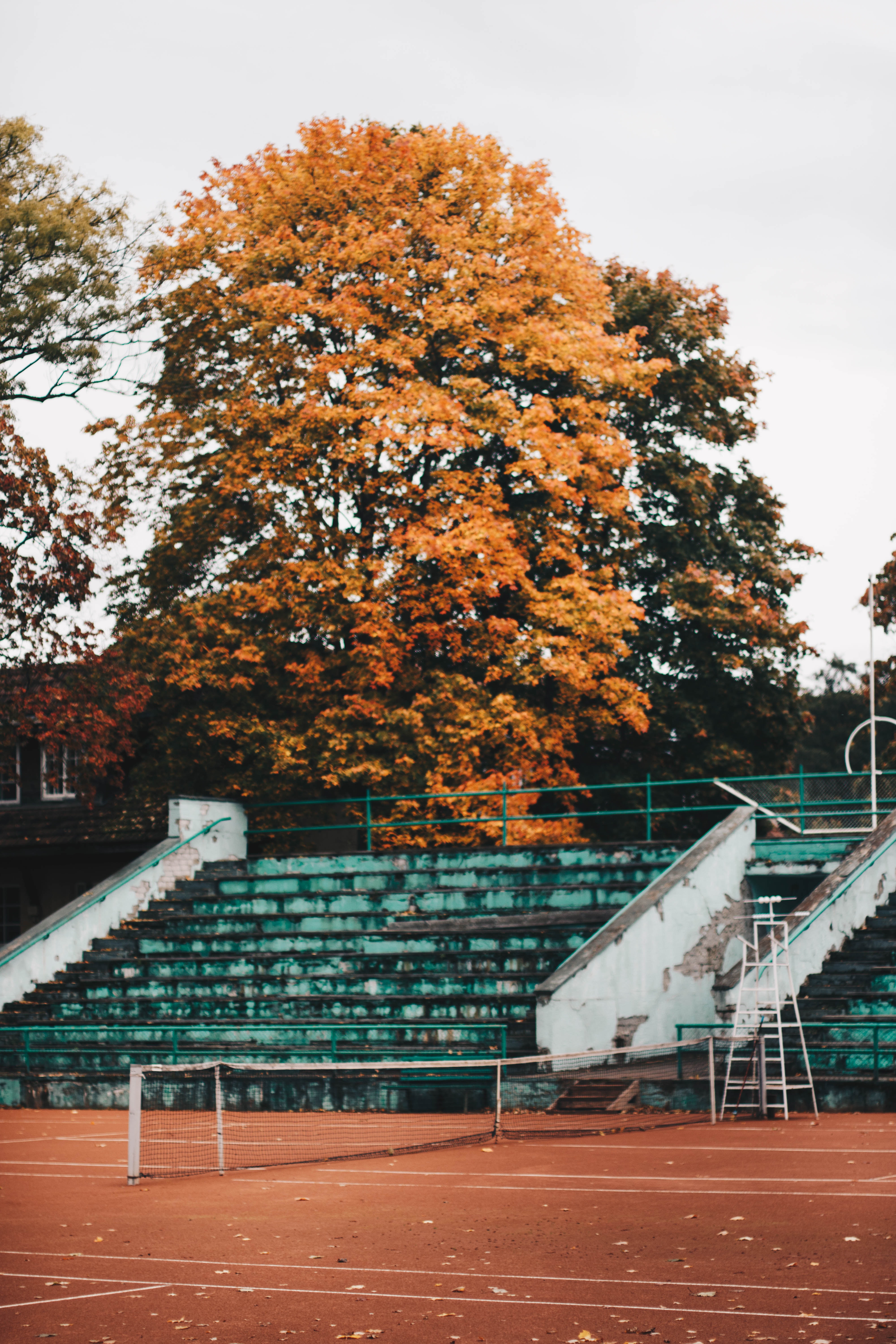 Empty green and white concrete bleachers near brown leaf tree at daytime photo