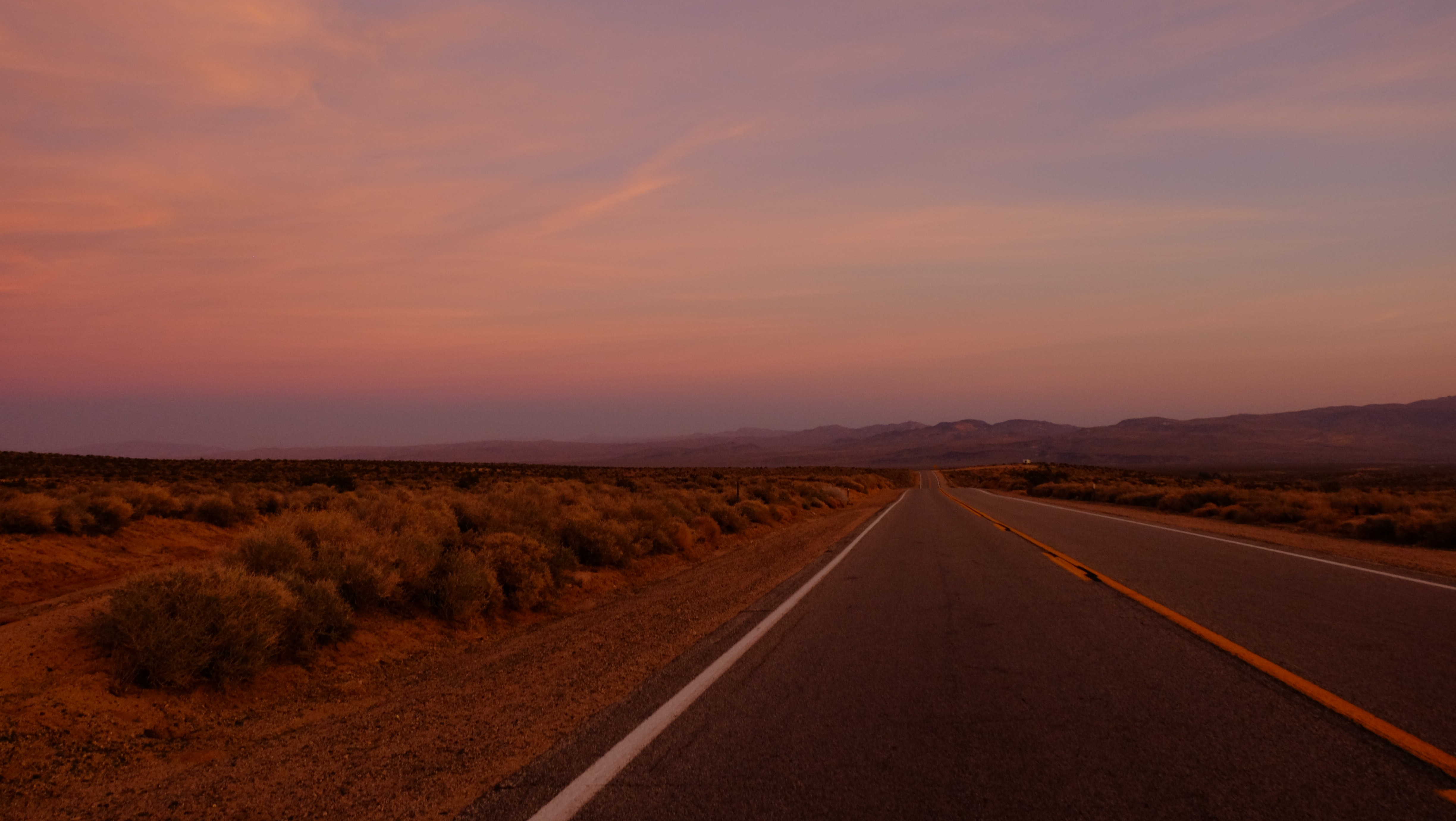 Empty Road in Dessert, Bushes, Remote, Travel, Sunset, HQ Photo