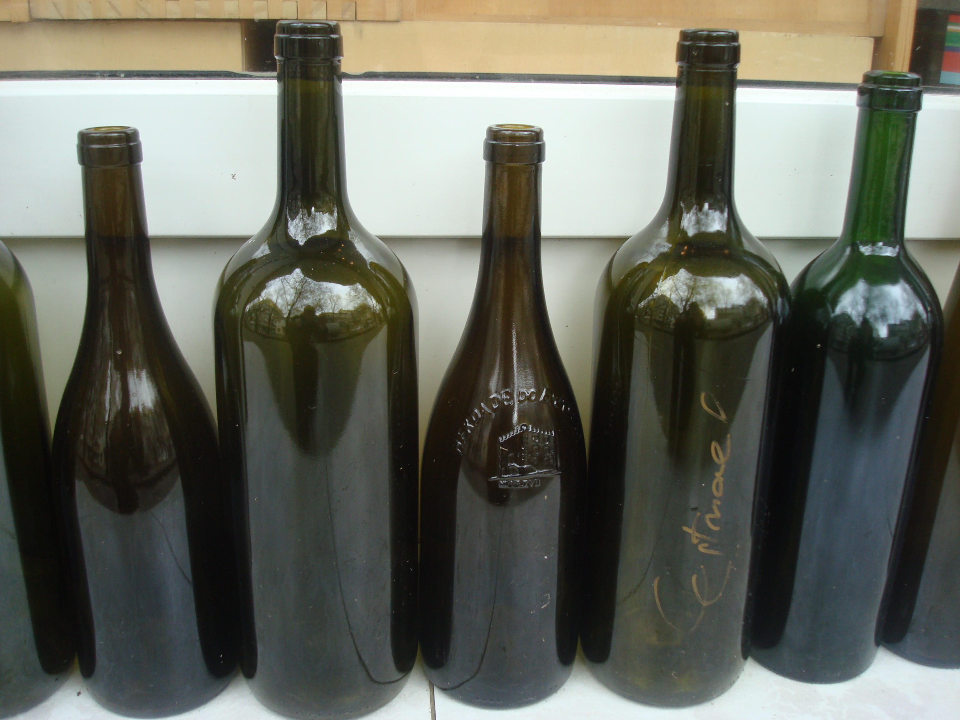 Empty wine bottles photo