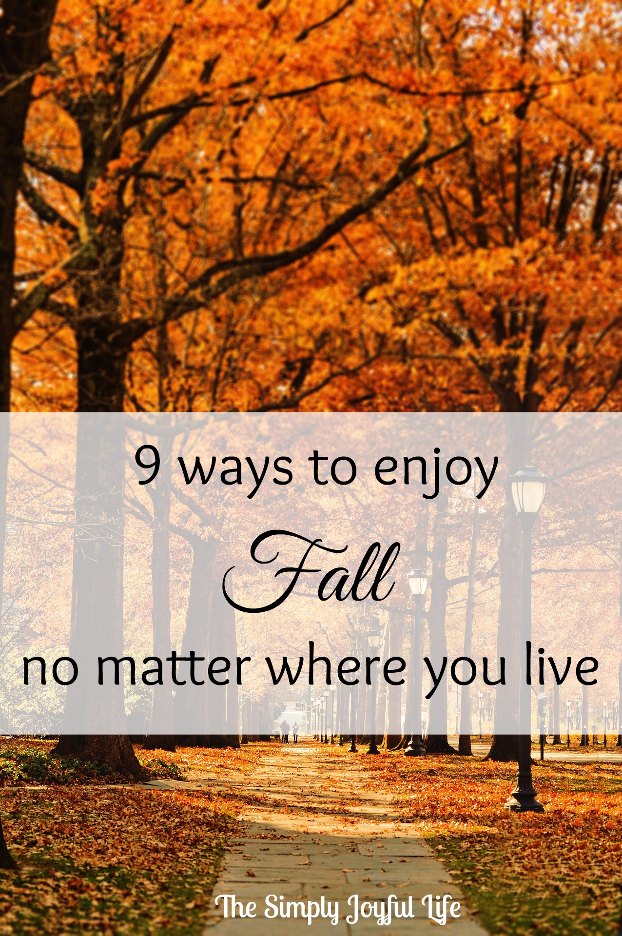 9 Ways to Enjoy Fall - No Matter Where You Live - The Simply Joyful Life
