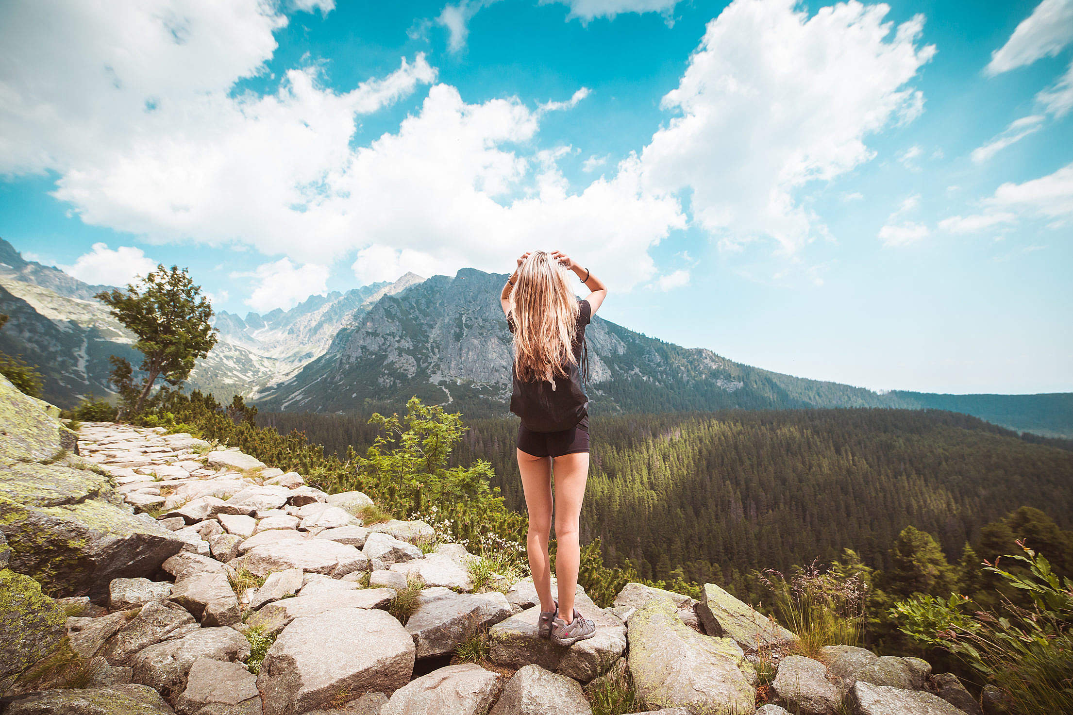 Young Woman Traveler Enjoying a View on High Tatras Mountains Free ...