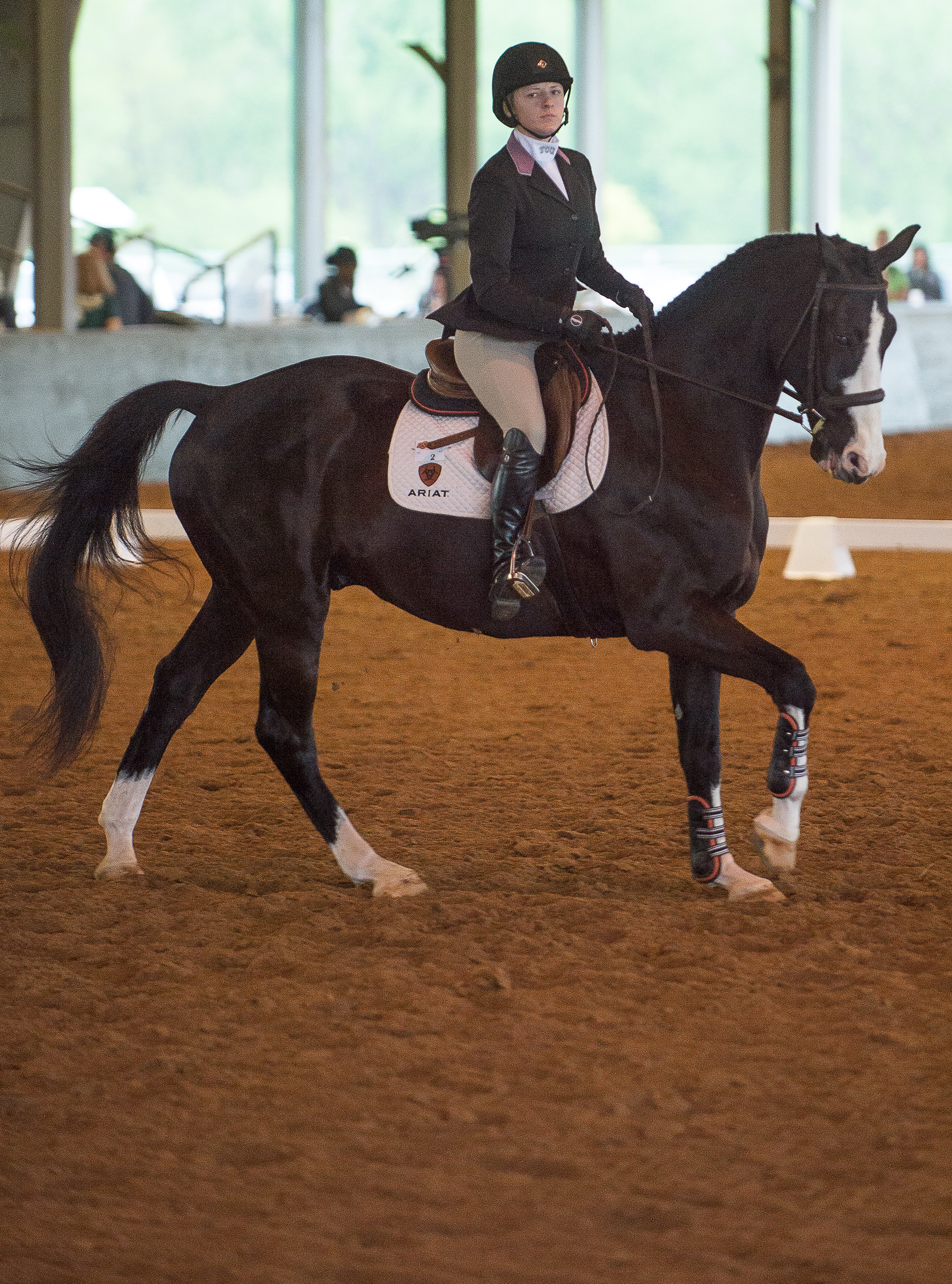 TCU Equestrian Competitors Ride High in Academic Accolades - TCU ...