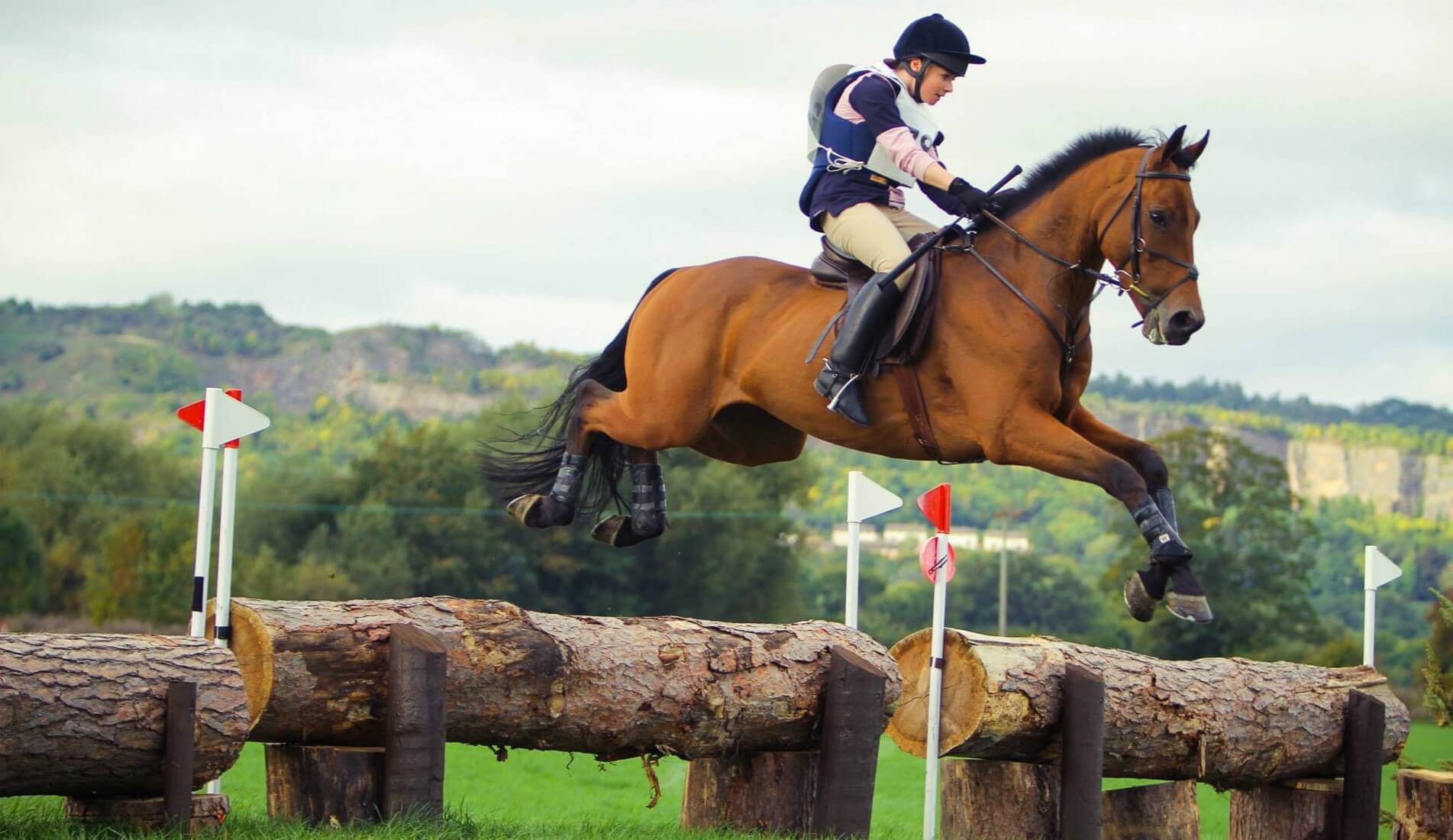 Radfords Equestrian - British Dressage, Eventing, Showjumping & Livery