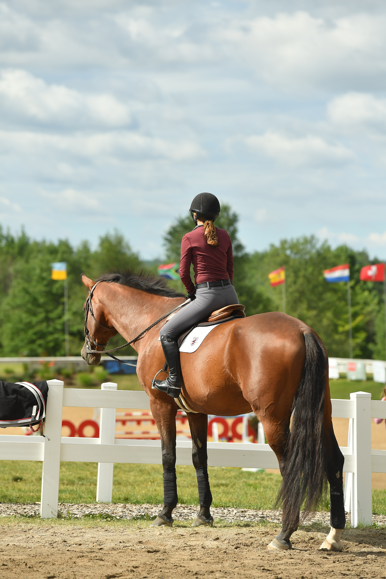 Great Lakes Equestrian Festival | We Show Where We Vacation