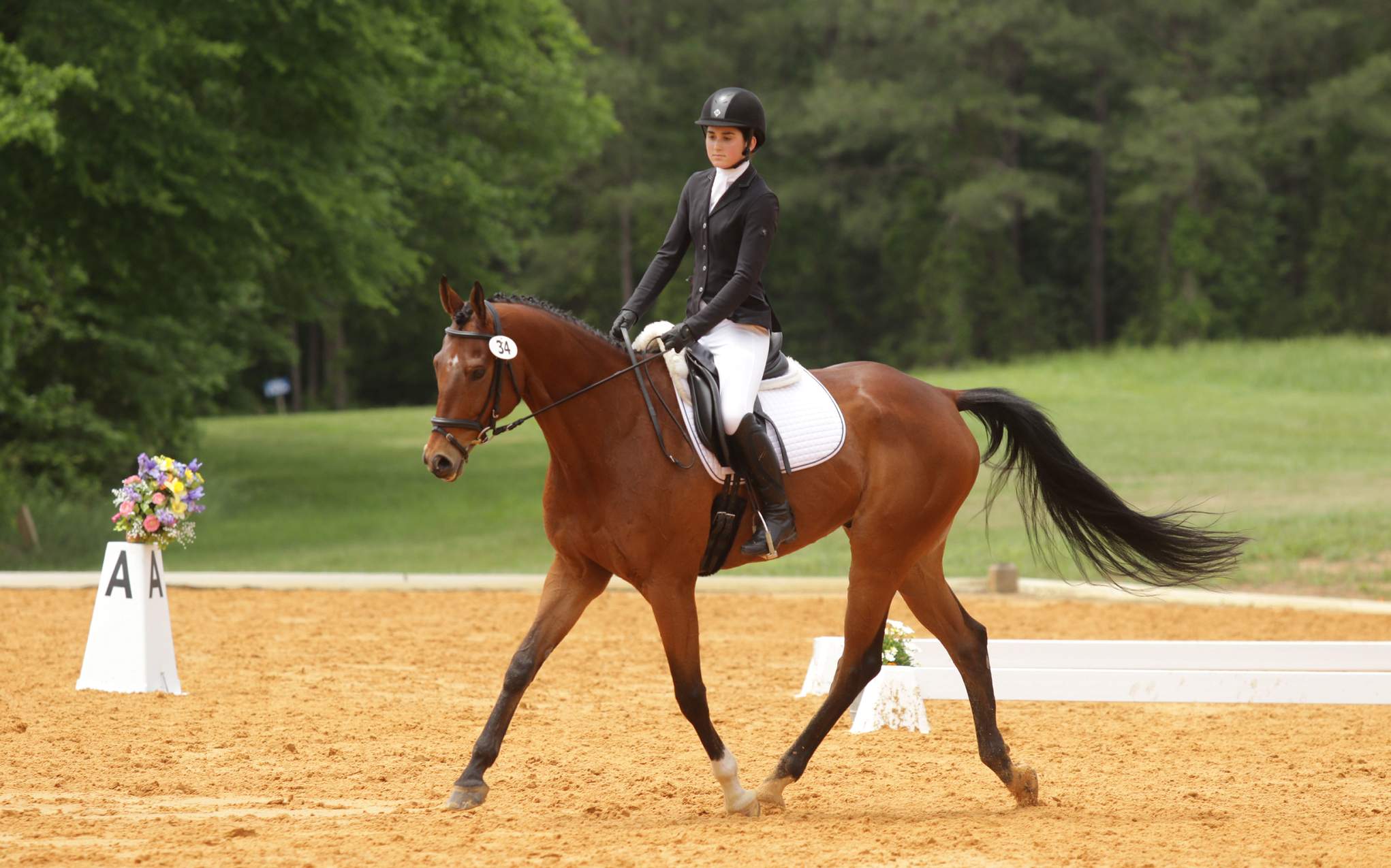 Francesca Toms climbing ranks in equestrian events