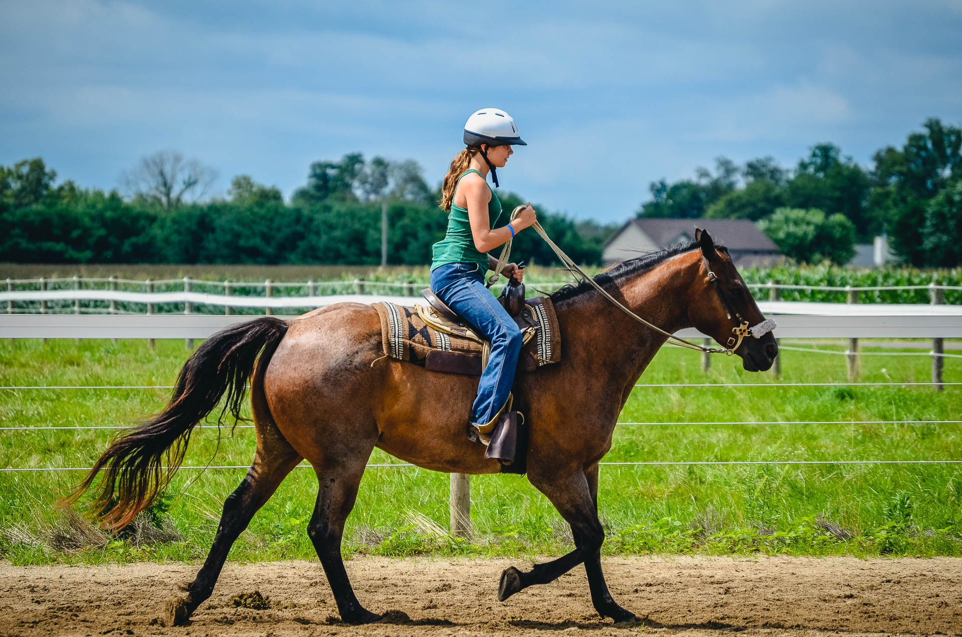 Equestrian Programs