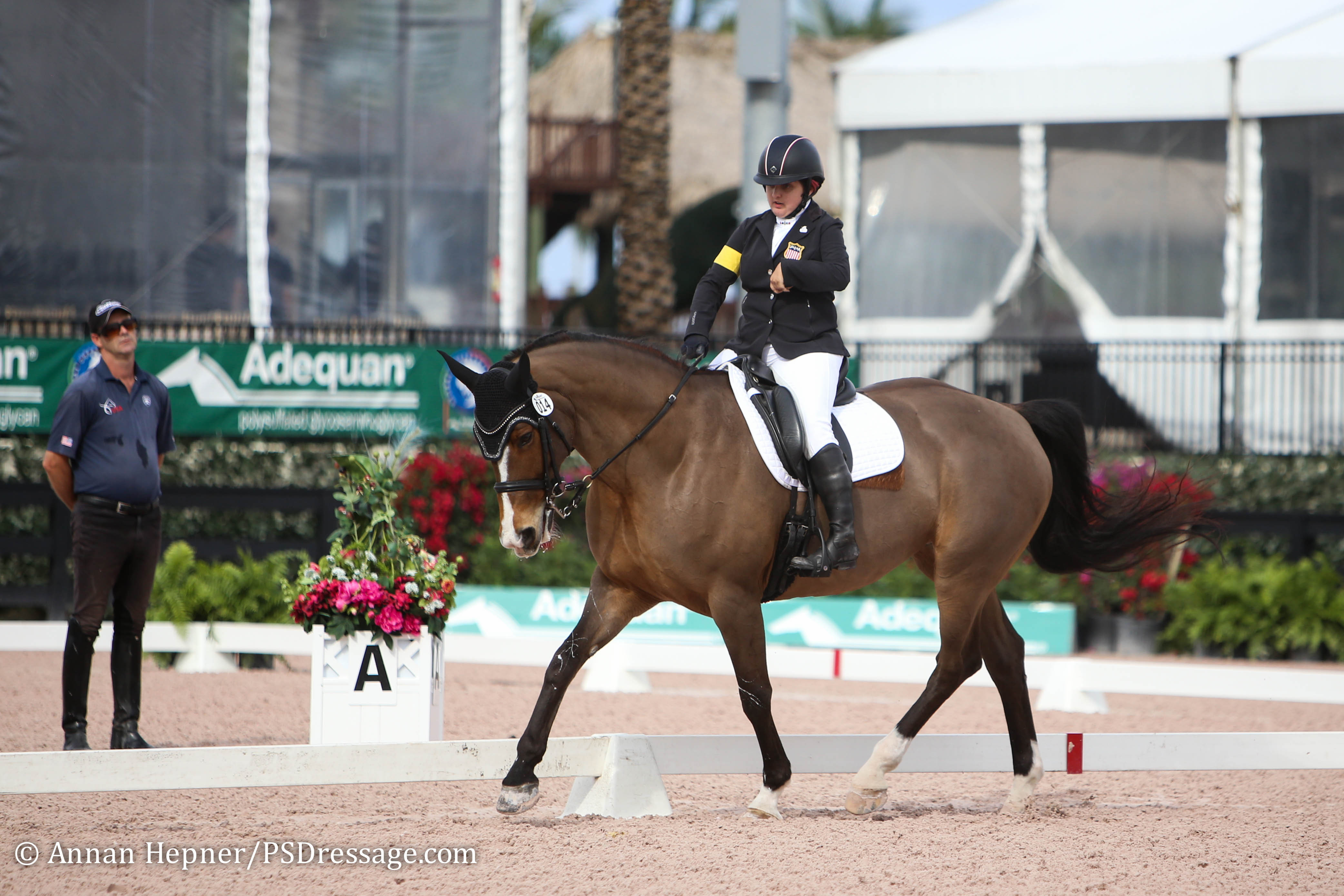 USEF Names U.S. Paralympic Equestrian Team for the Rio 2016 ...