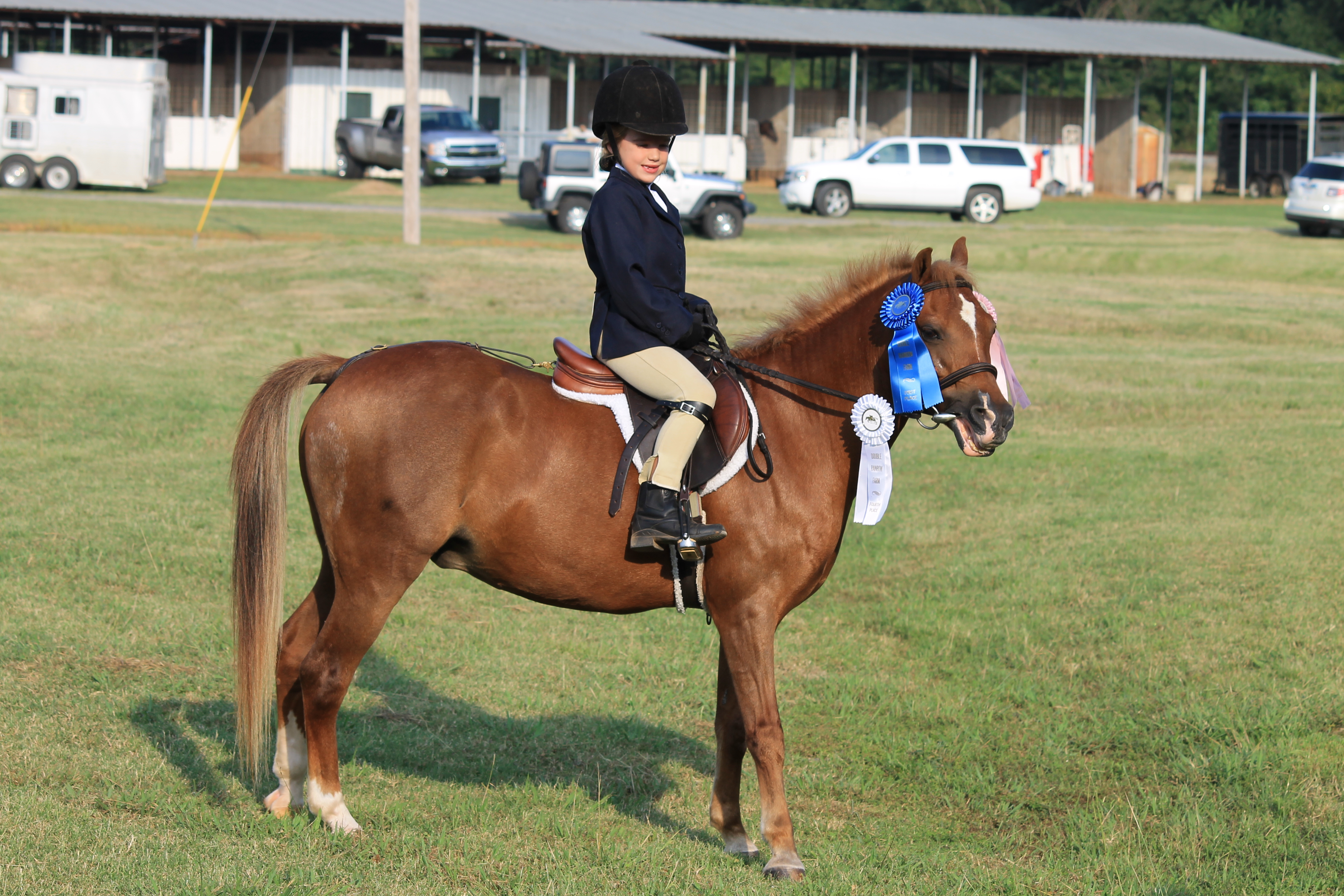 NLEA.org | North Louisiana Equestrian Association