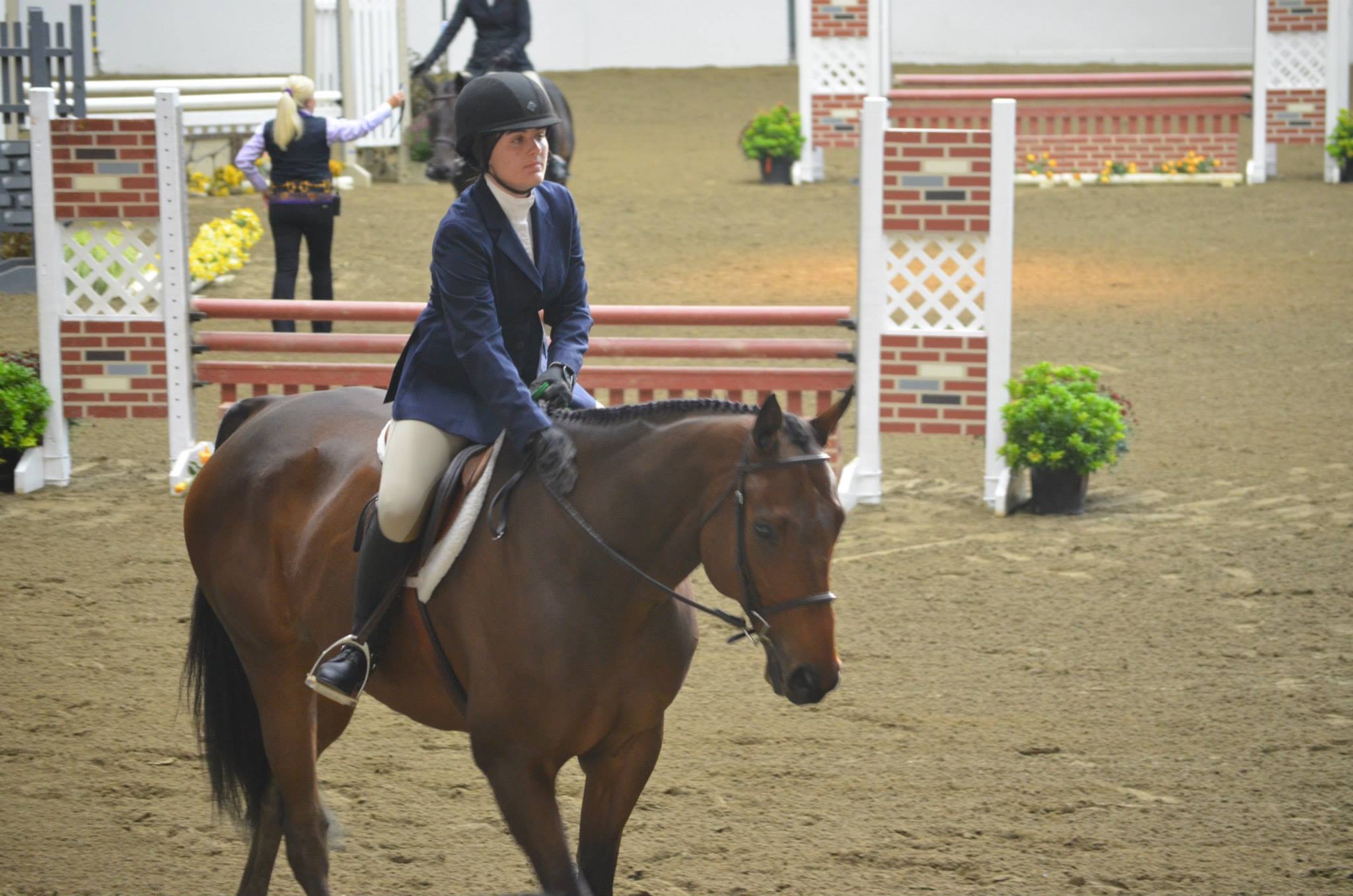 Hold on to your horses: University considers equestrian center | The ...