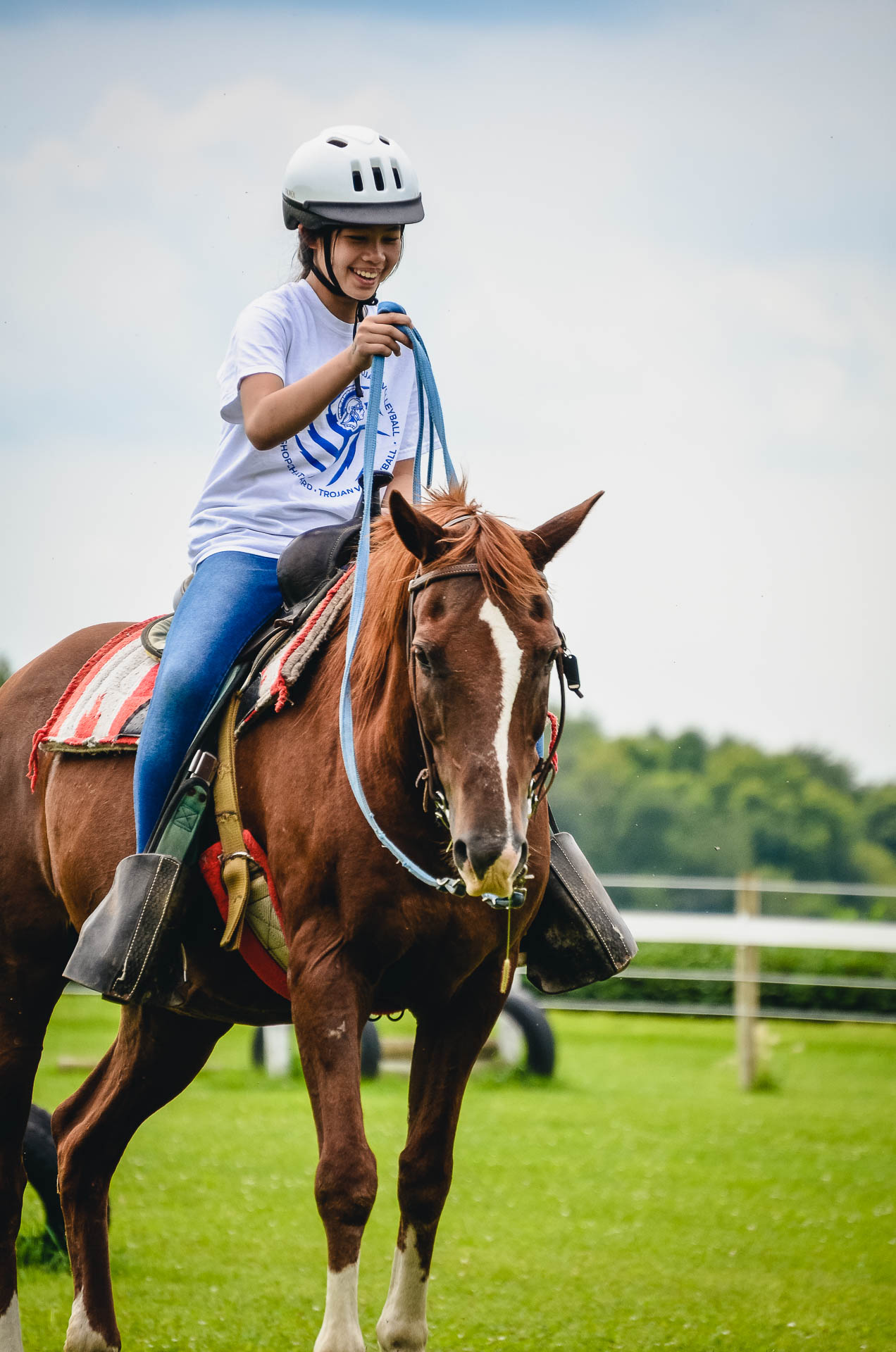 Equestrian Programs