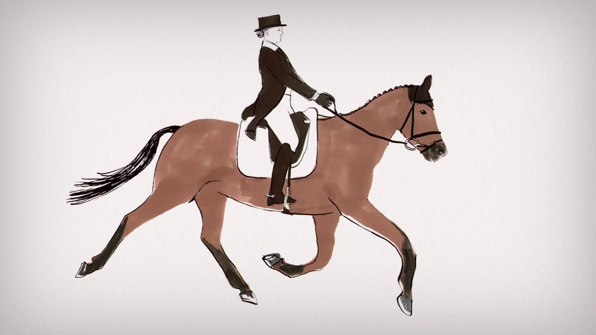 Equestrian disciplines: Dressage - CNN Video