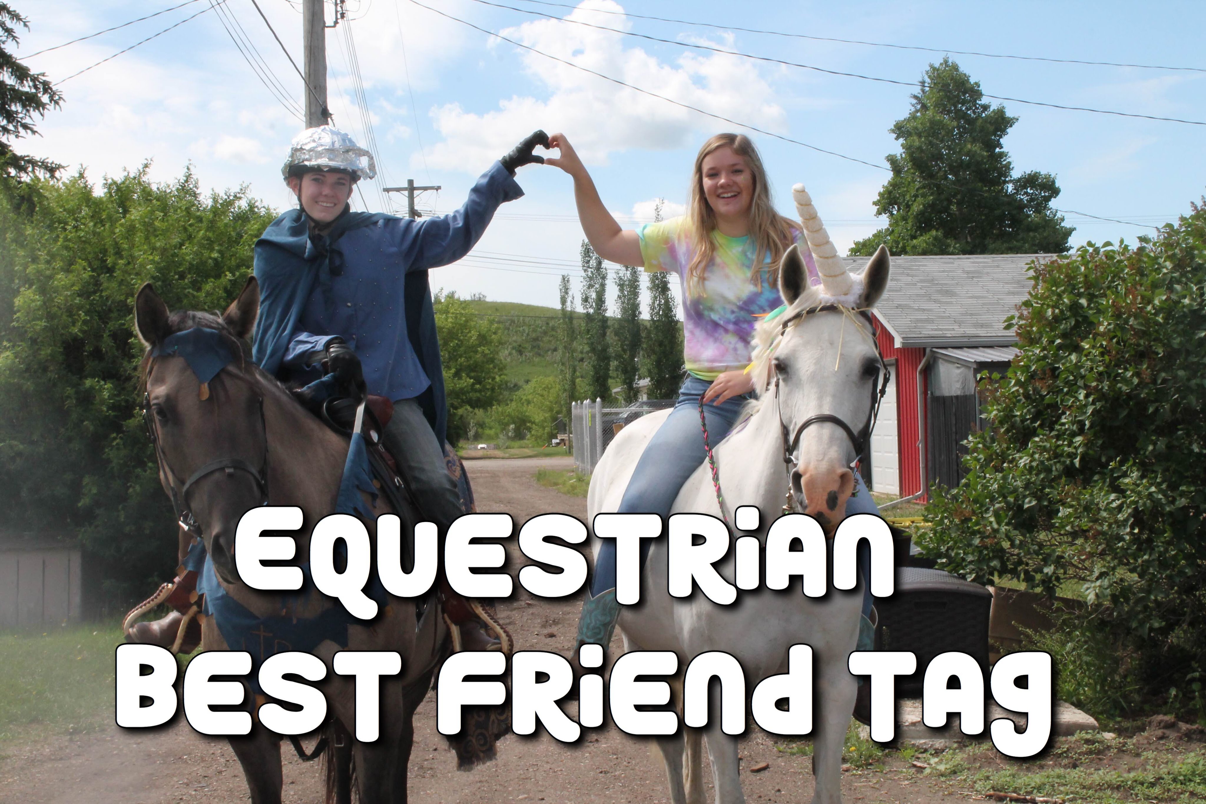 Equestrian Best Friend Tag - YouTube