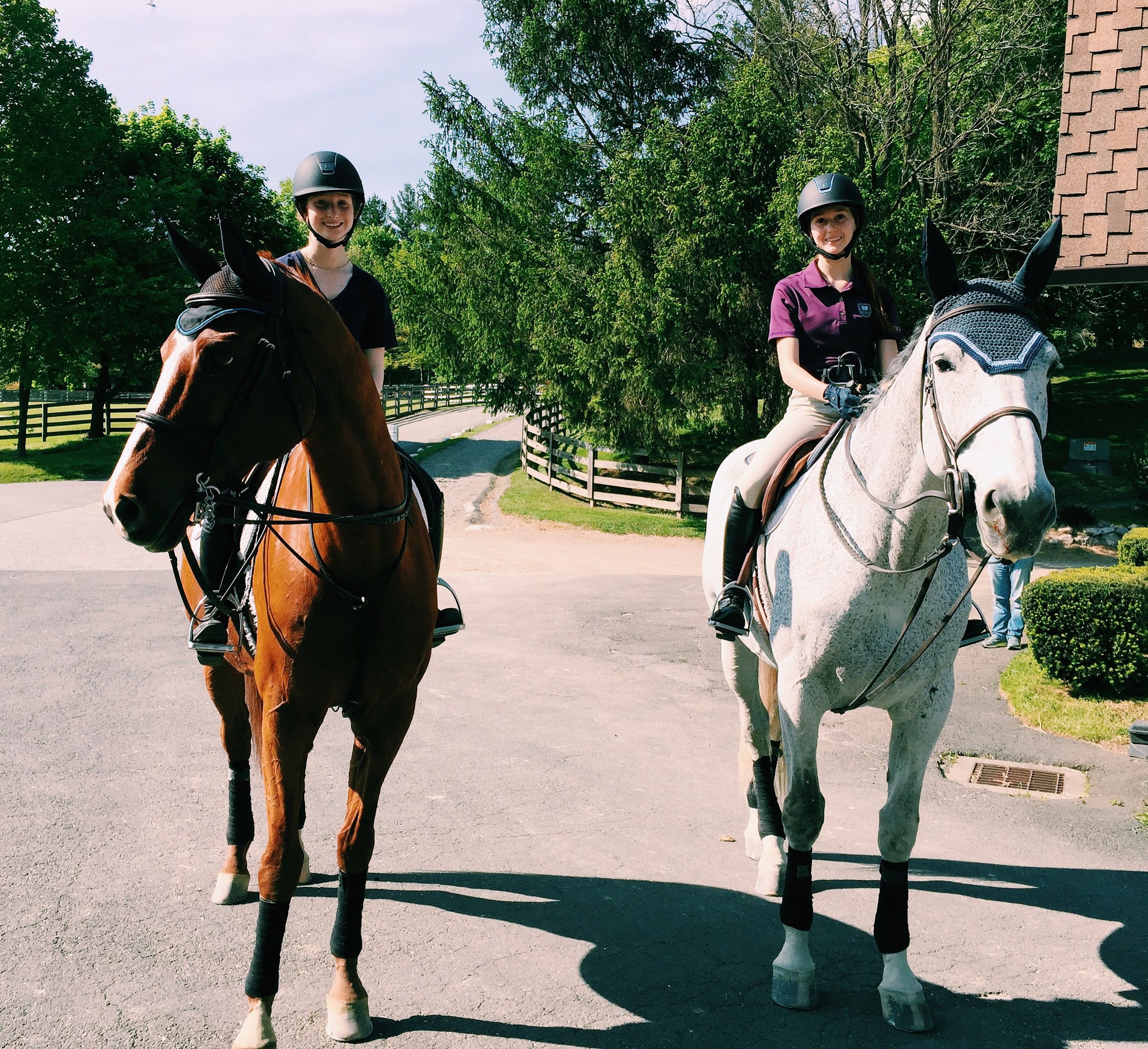 Riding with your best friend and having your horses be best friends ...
