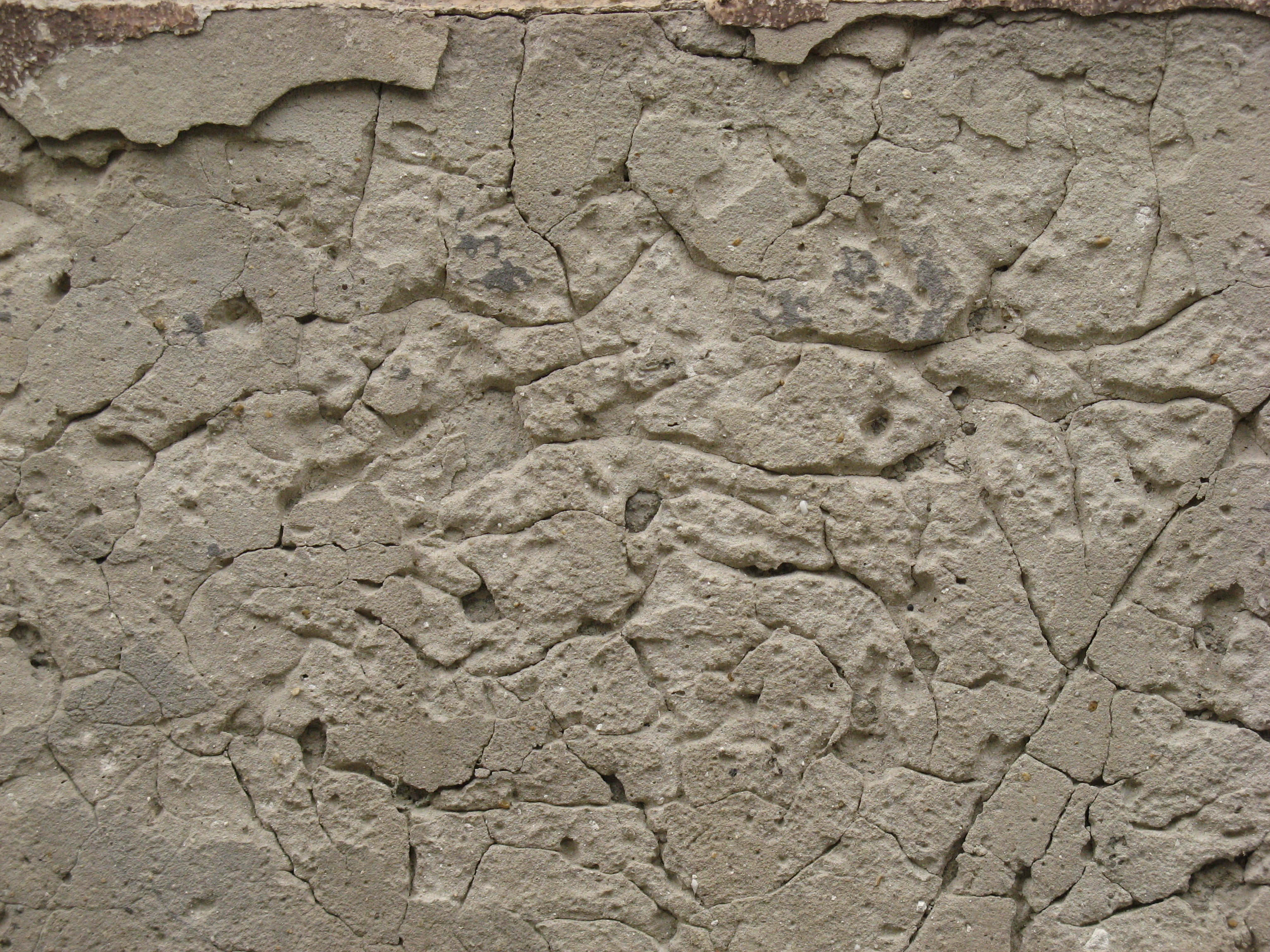 Free Grunge / Plaster texture (wall, erode, surface)