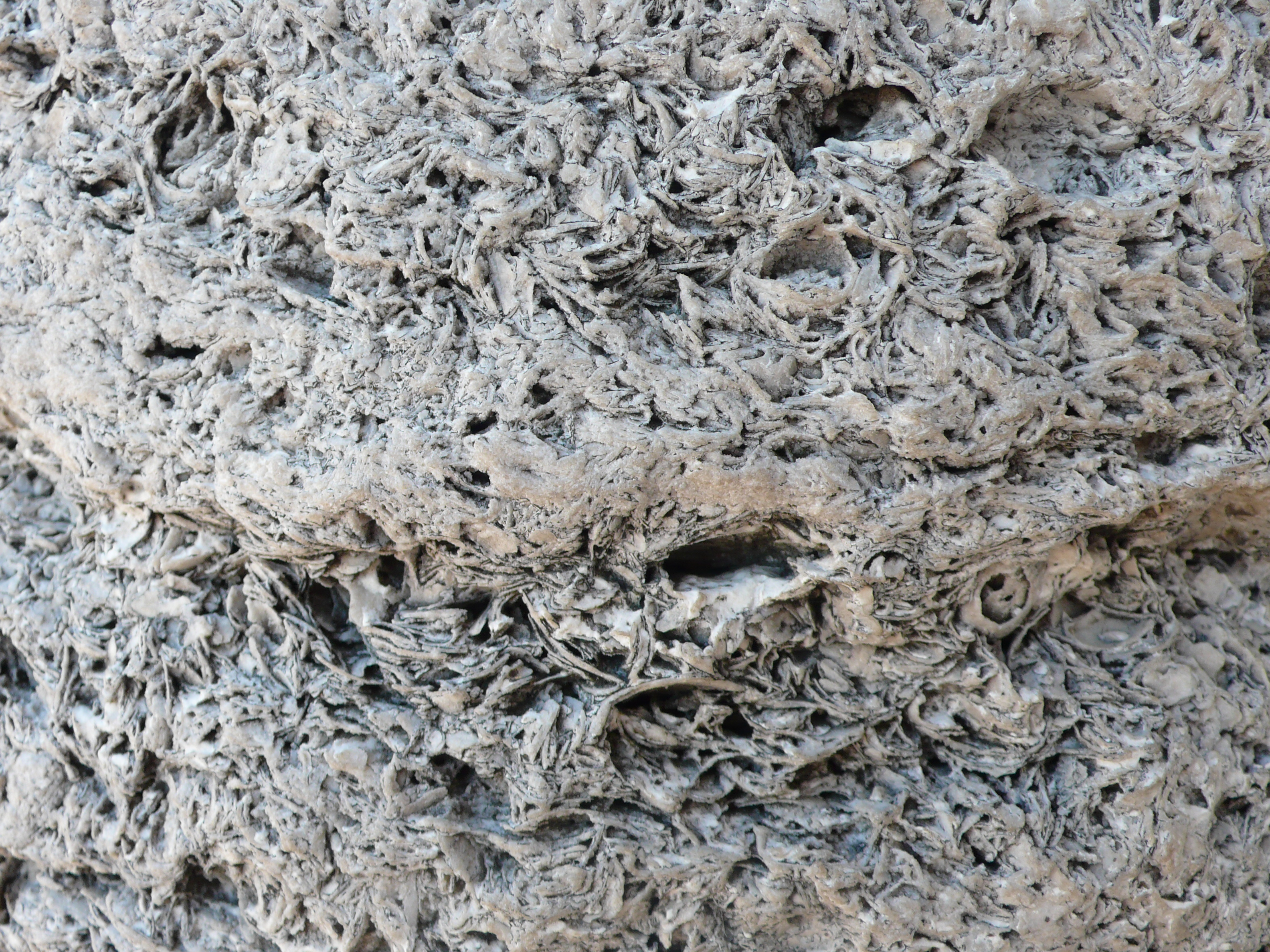 Stone Texture from Galata Tower | photo page - everystockphoto