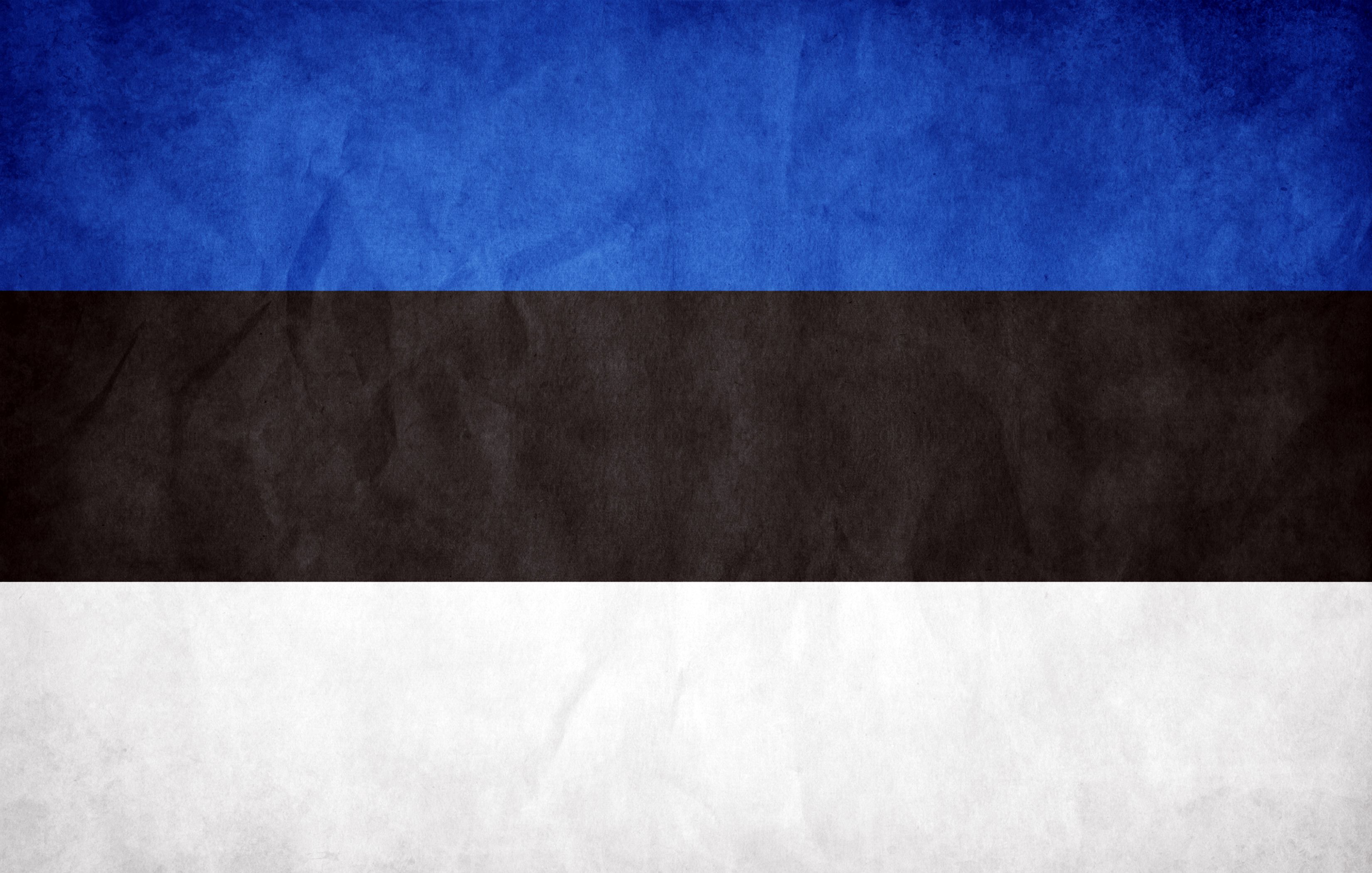 estonia flag - Google Search | * FLAG of the DAY | Pinterest ...