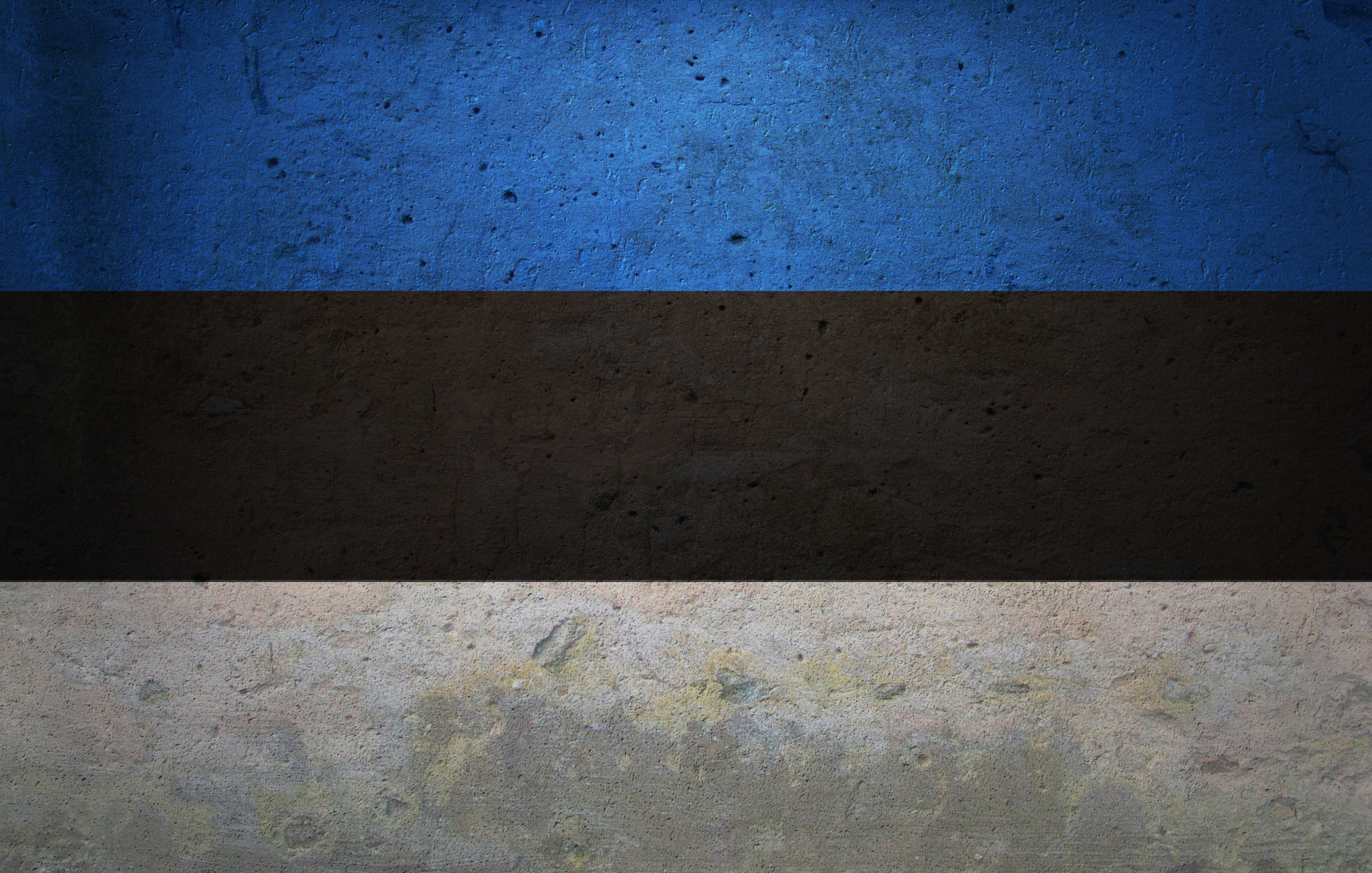 Estonia Europe Flags Grunge - WallDevil