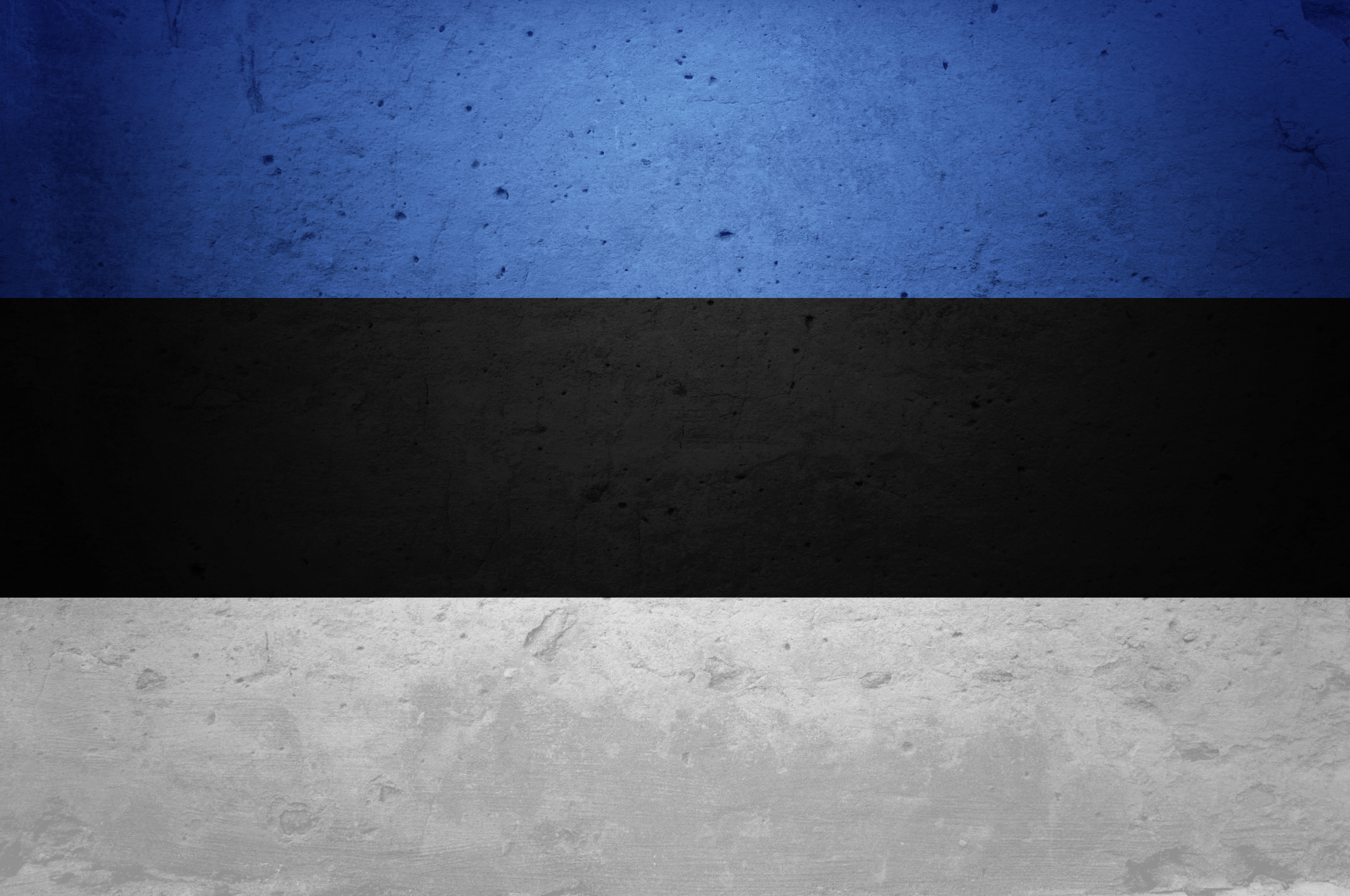 Flag Of Estonia Full HD Wallpaper and Background Image | 2560x1700 ...