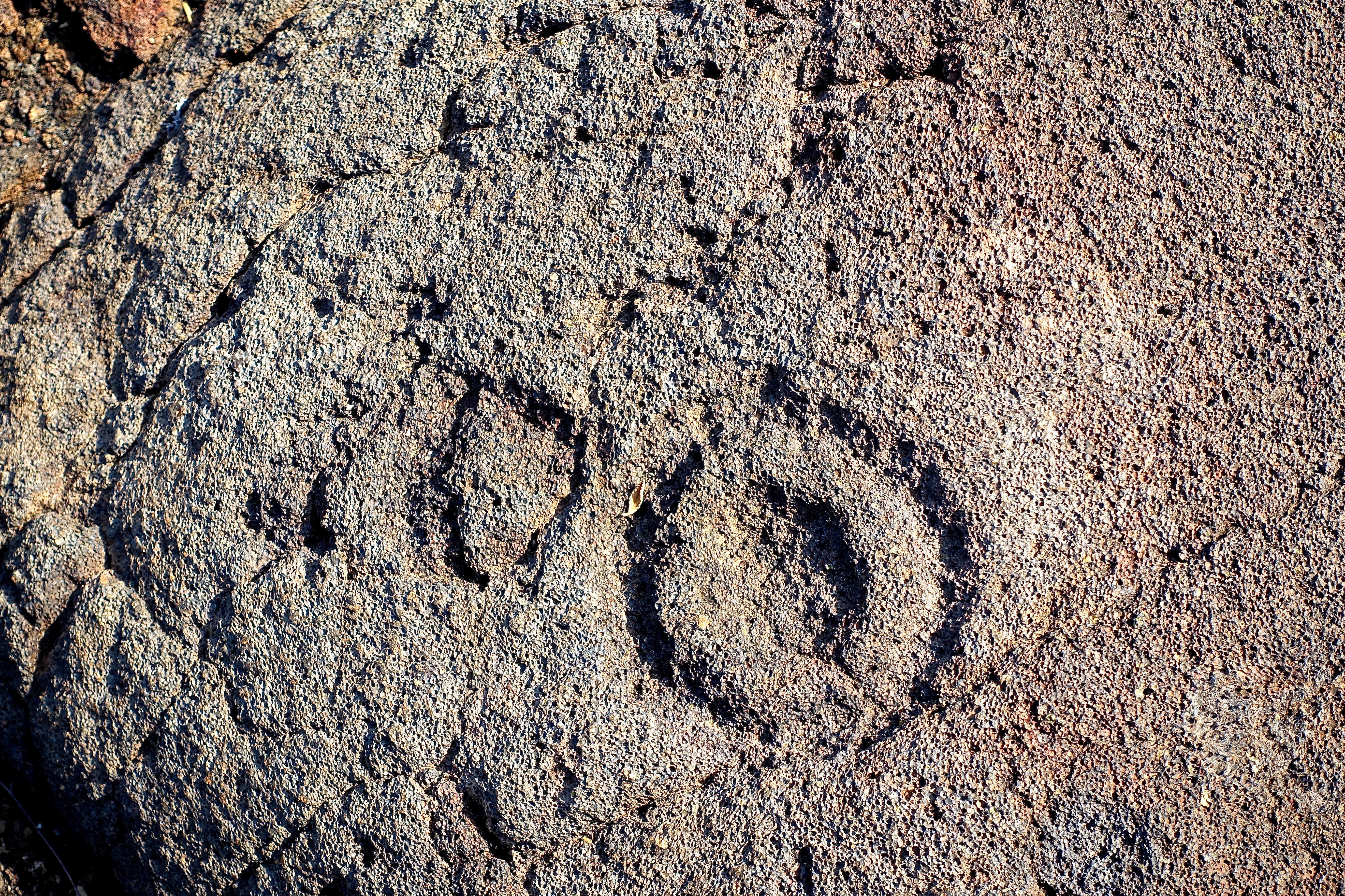Symbols etched in stone Petroglyph field near Waikoloa | Summer Setting