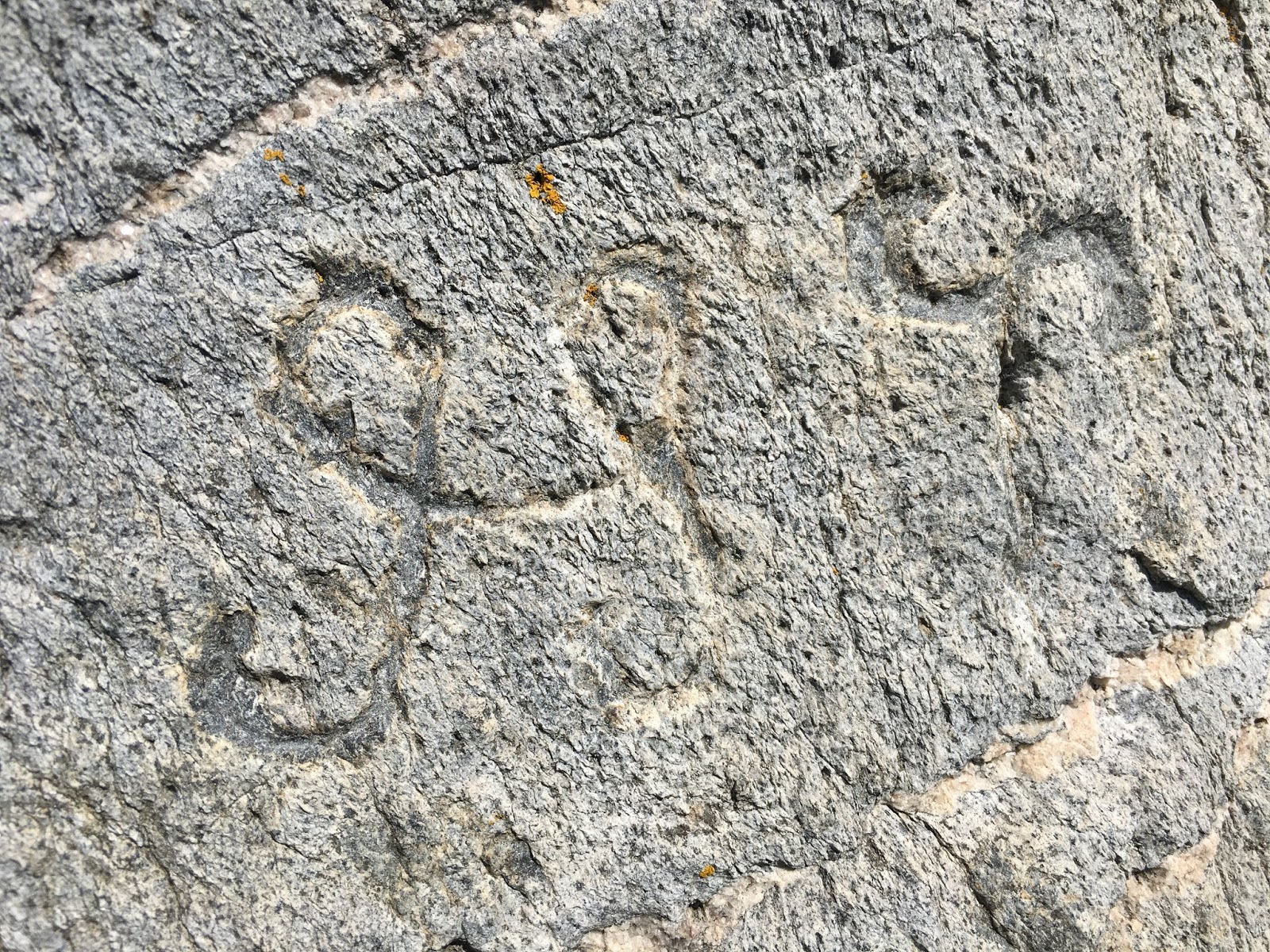 Scott Wolter Answers: Did Juan Ponce de Leon Carve the Overton Stone?