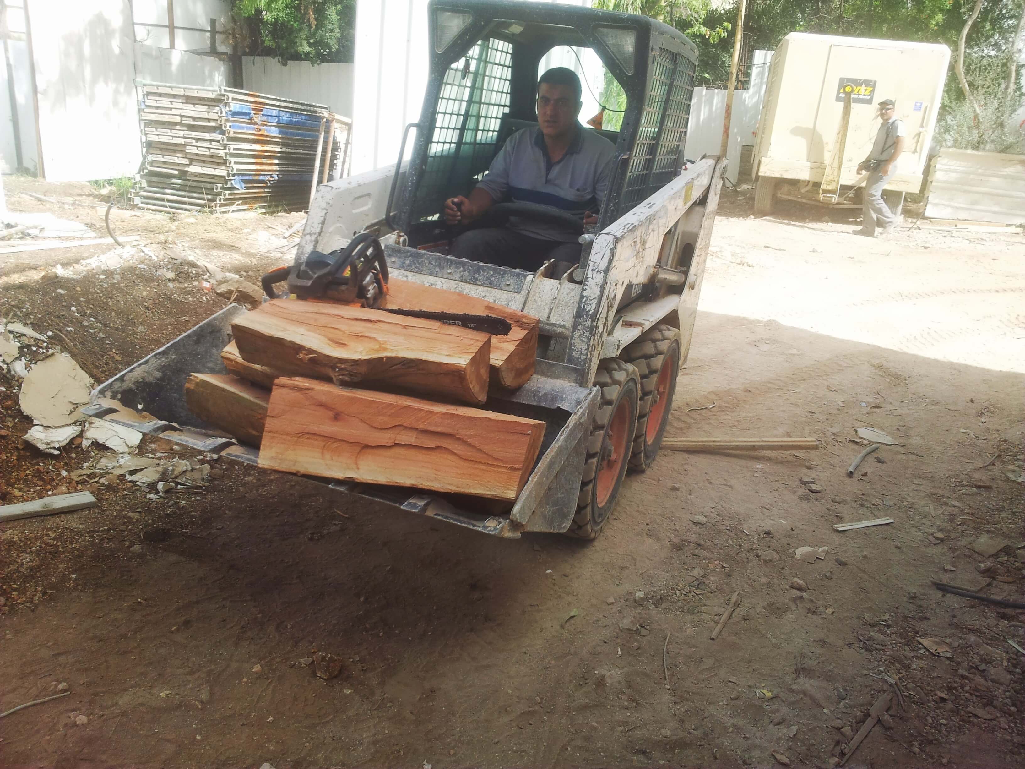 Resawing Logs - Eucalyptus - Elyasaf Shweka