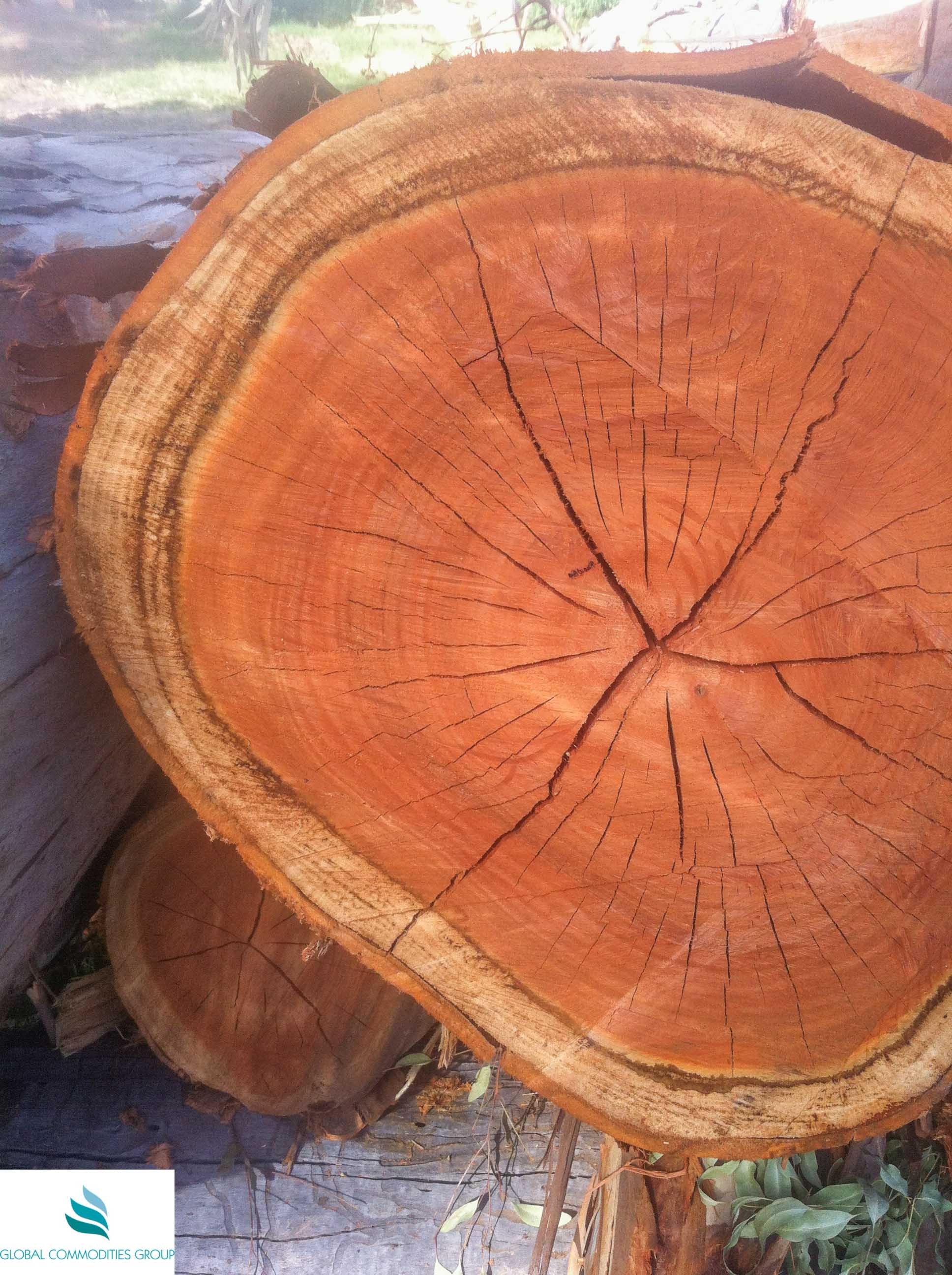 Hardwoods from South Africa | Timber Trading | Global Commodities