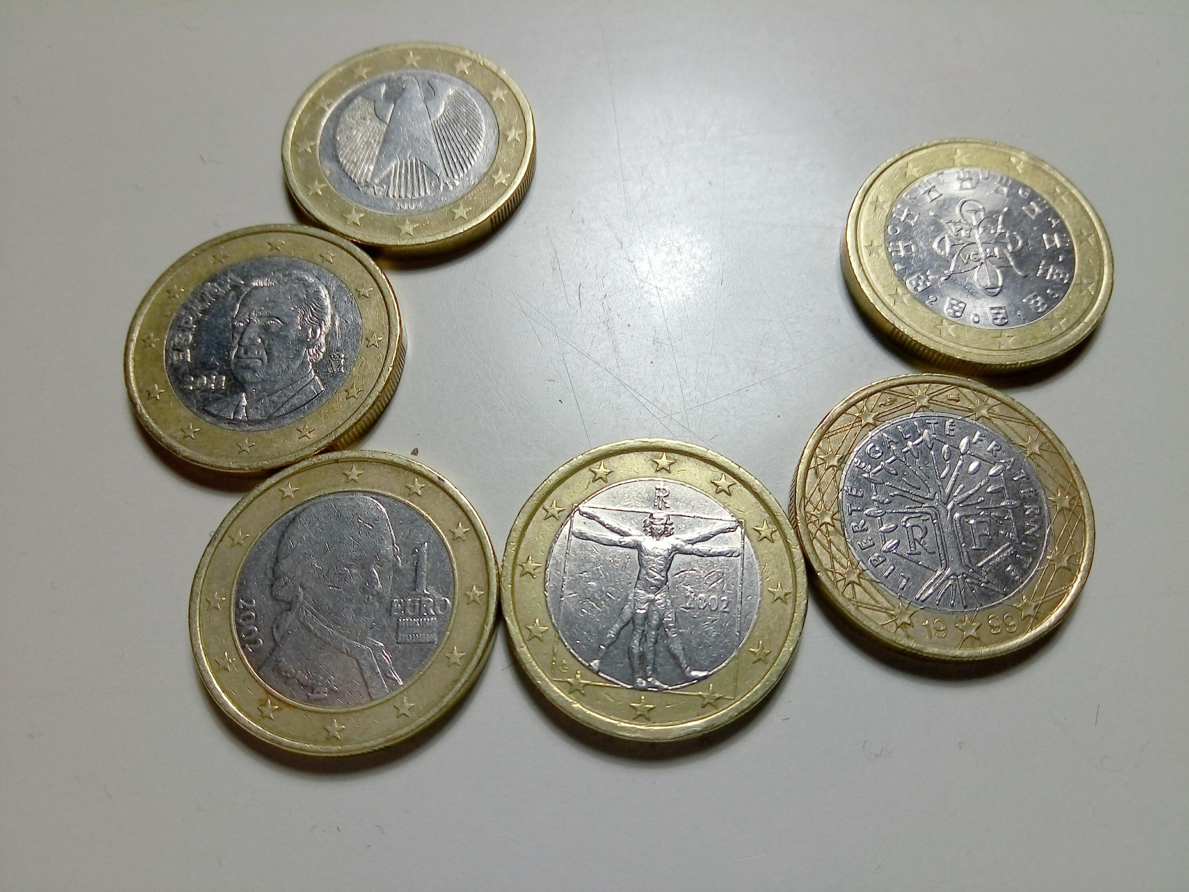 Different sides of the 1 euro coins in my wallet : europe