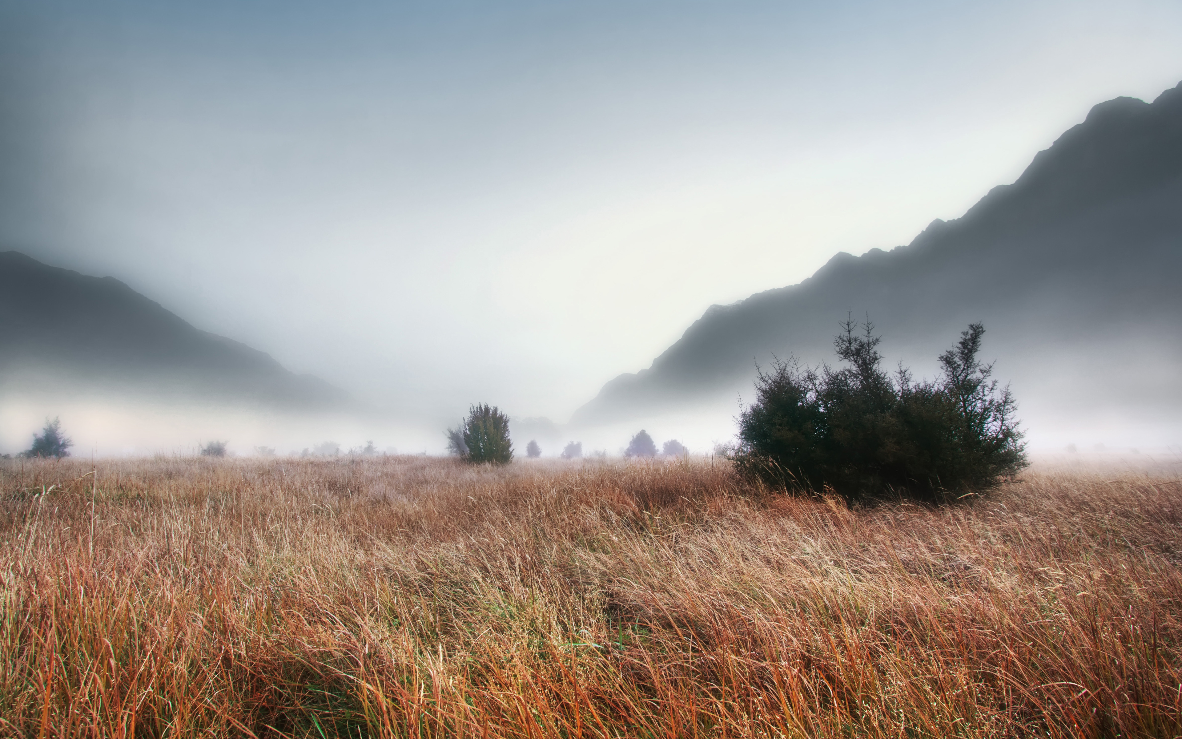 White Blanket', New Zealand, Milford Sound, Evening Fog widescreen ...
