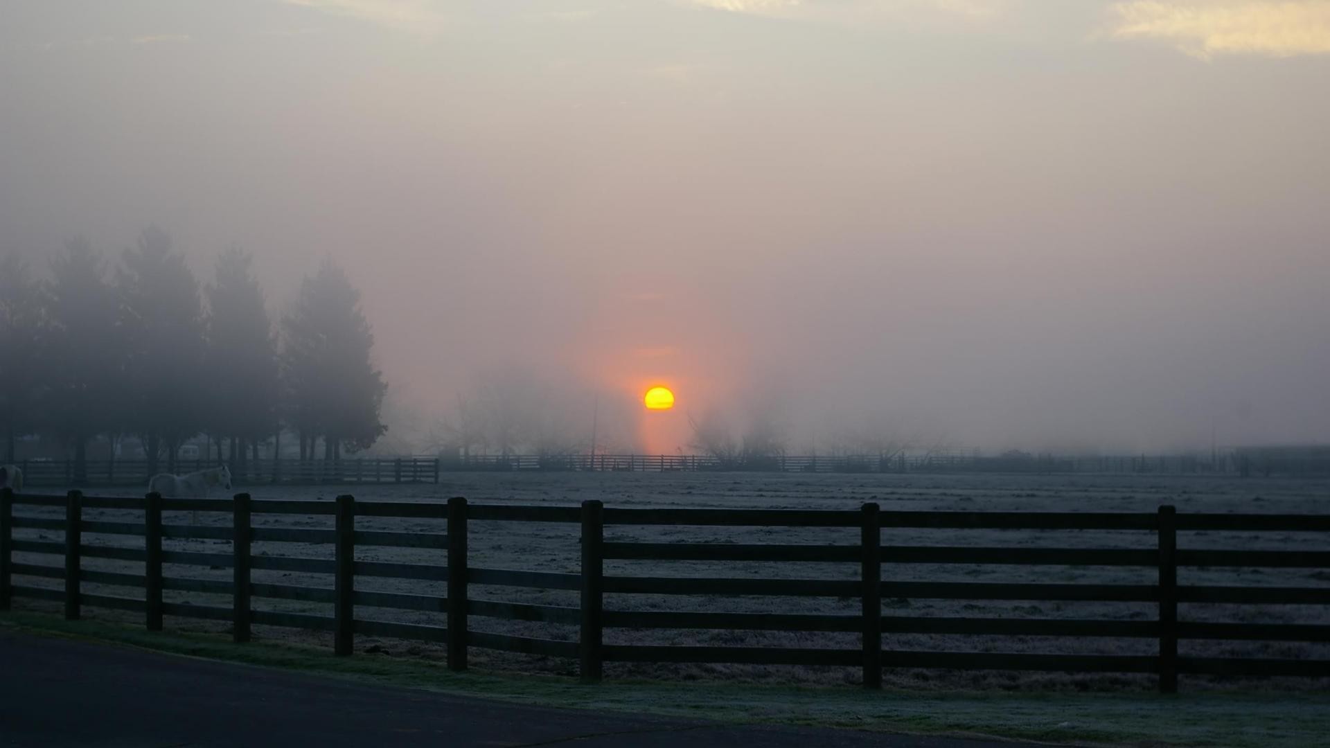 Farms: Horse Ranch Evening Fog Sunset Horses Fences Free Desktop ...