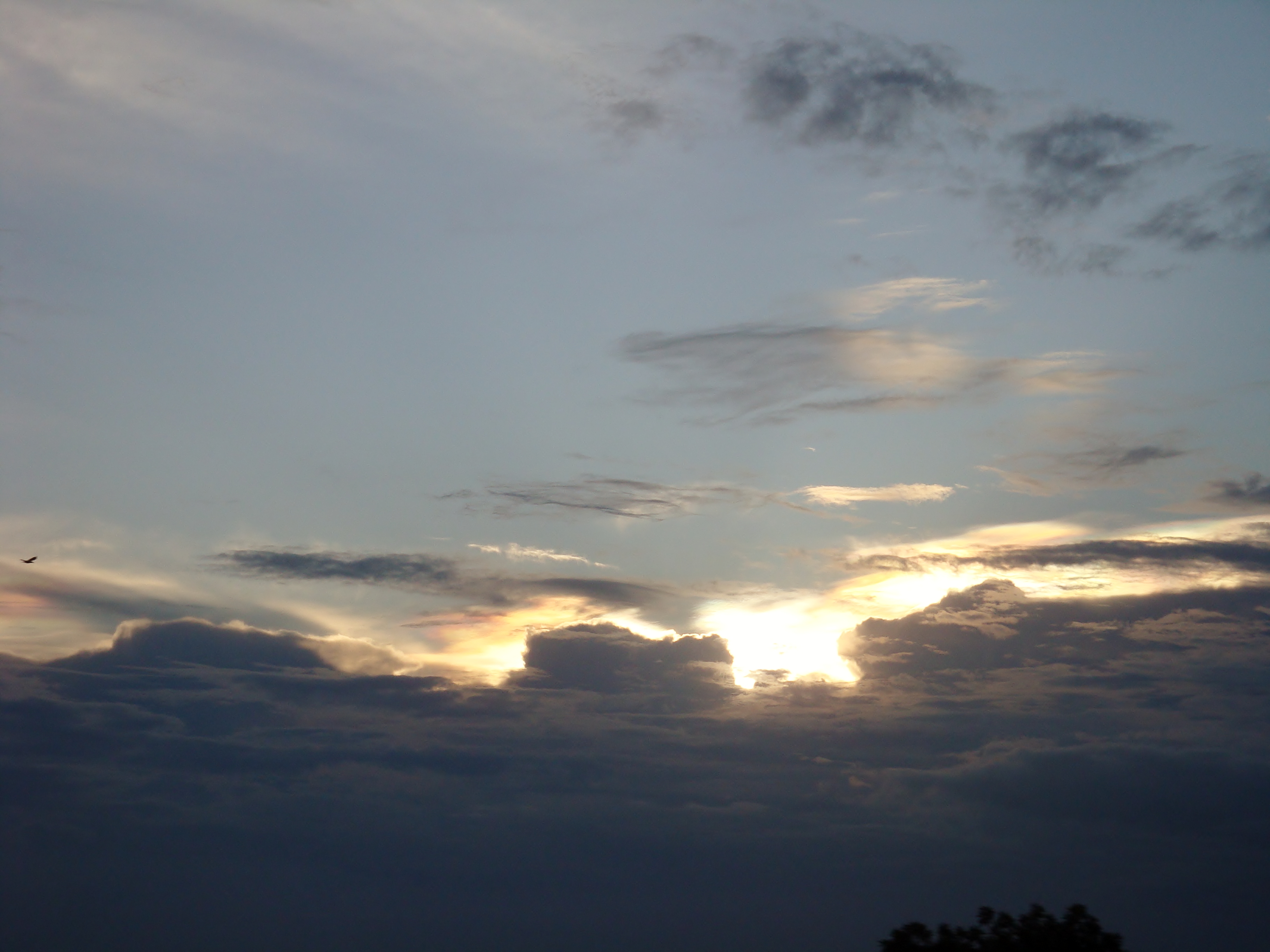 Evening Sky, Beauty, Evening, Light, Natural, HQ Photo