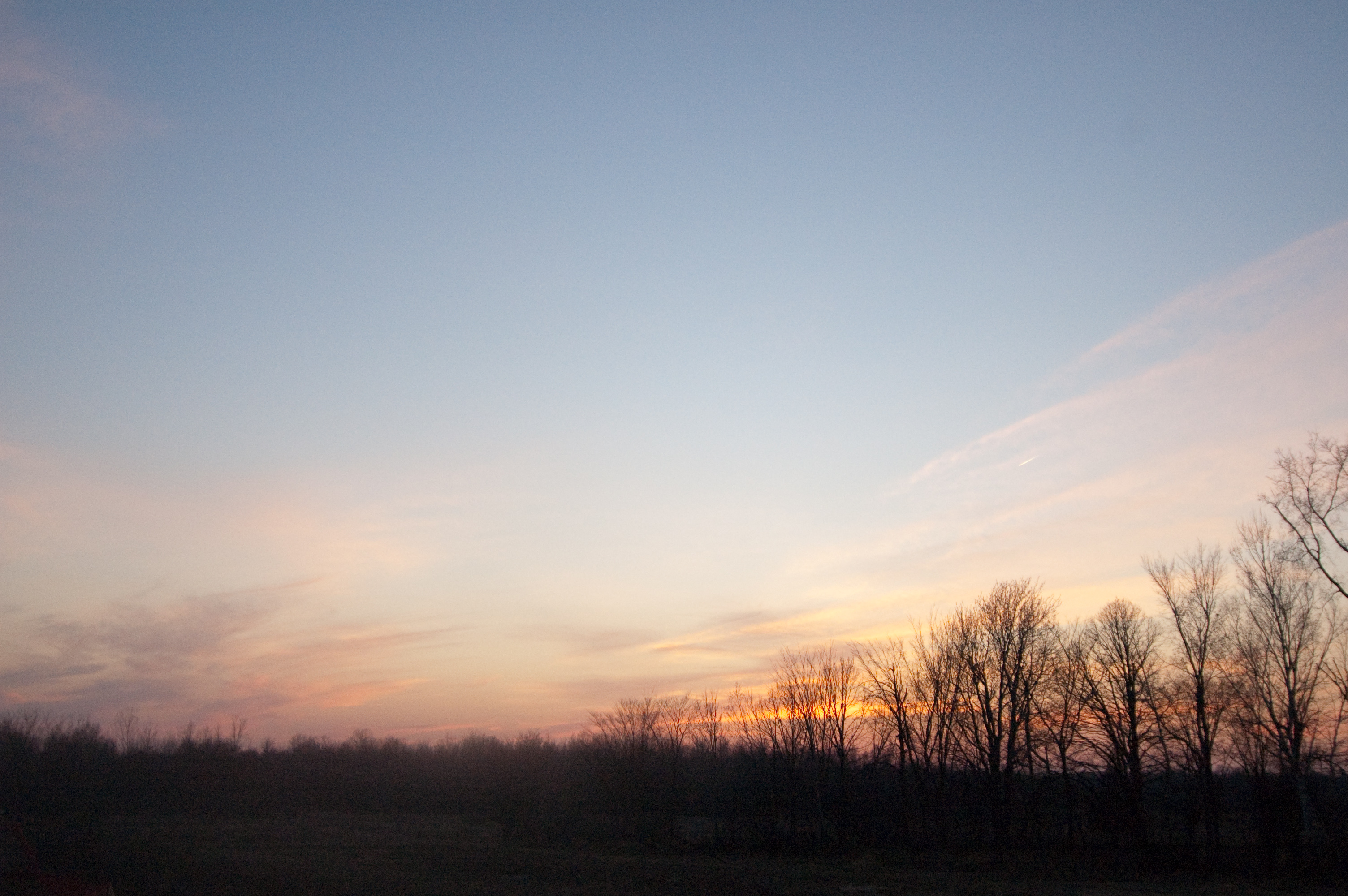 Evening Walk | 95 acres of sky