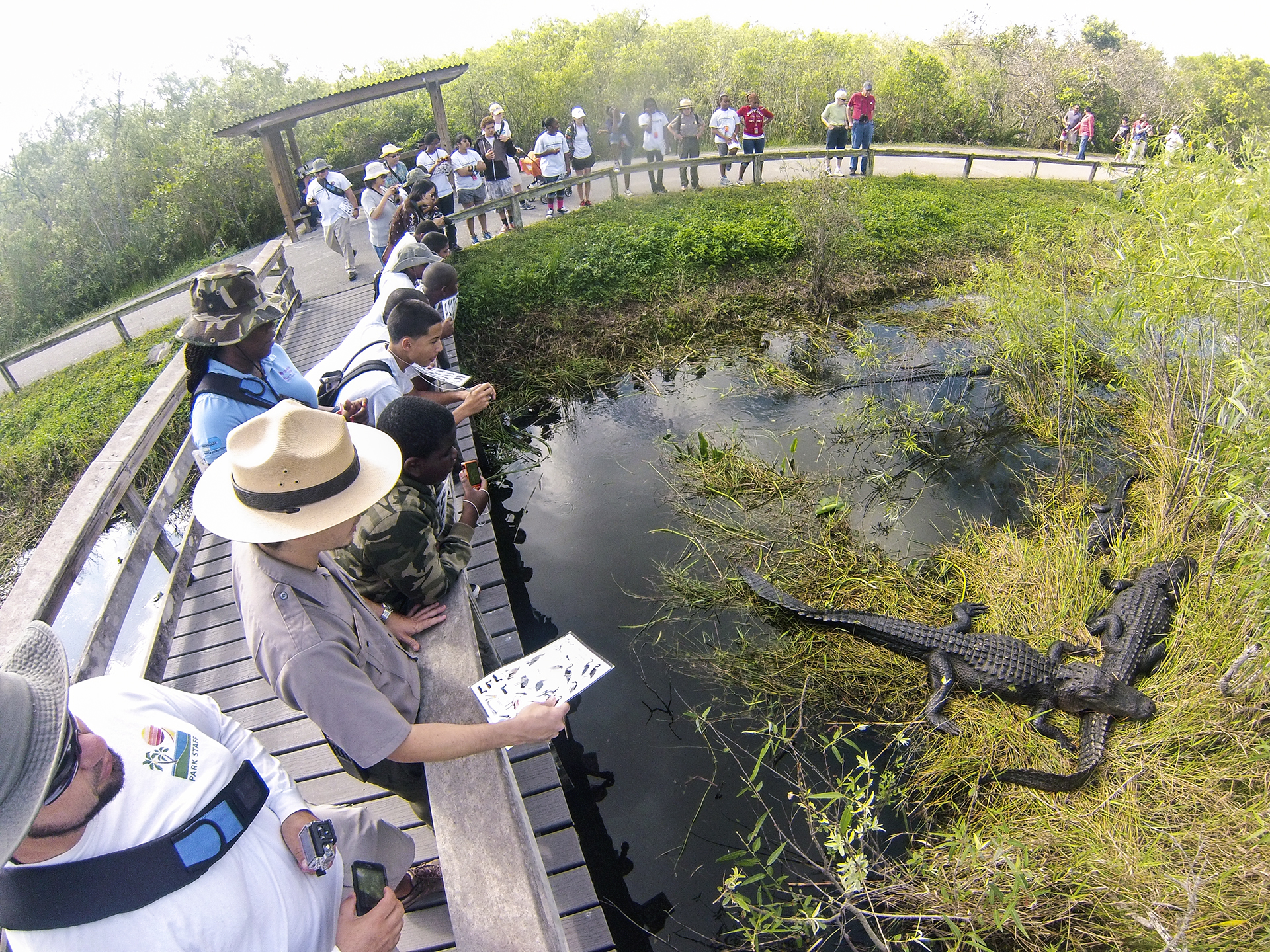 Everglades National Park is Open - Everglades National Park (U.S. ...