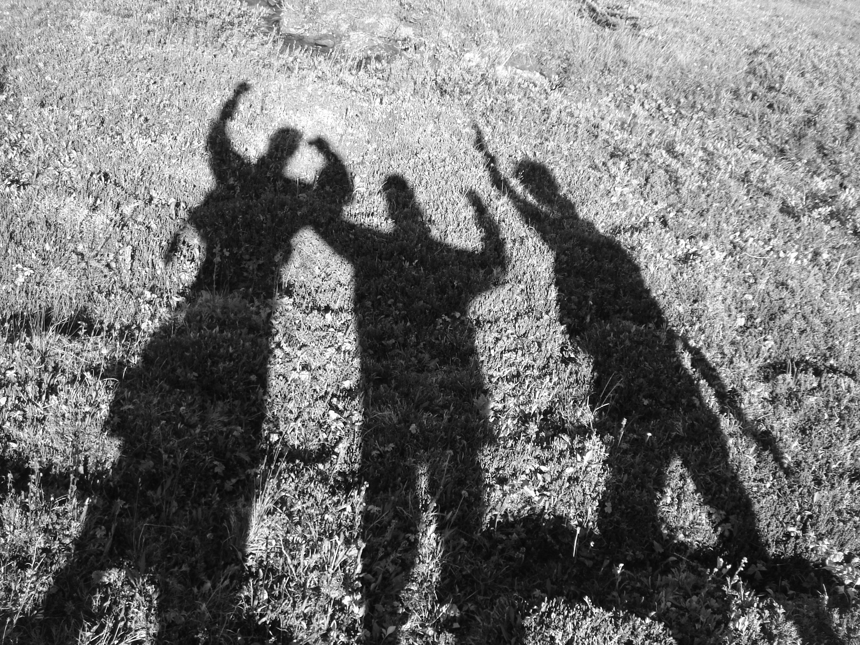 Excited shadows photo