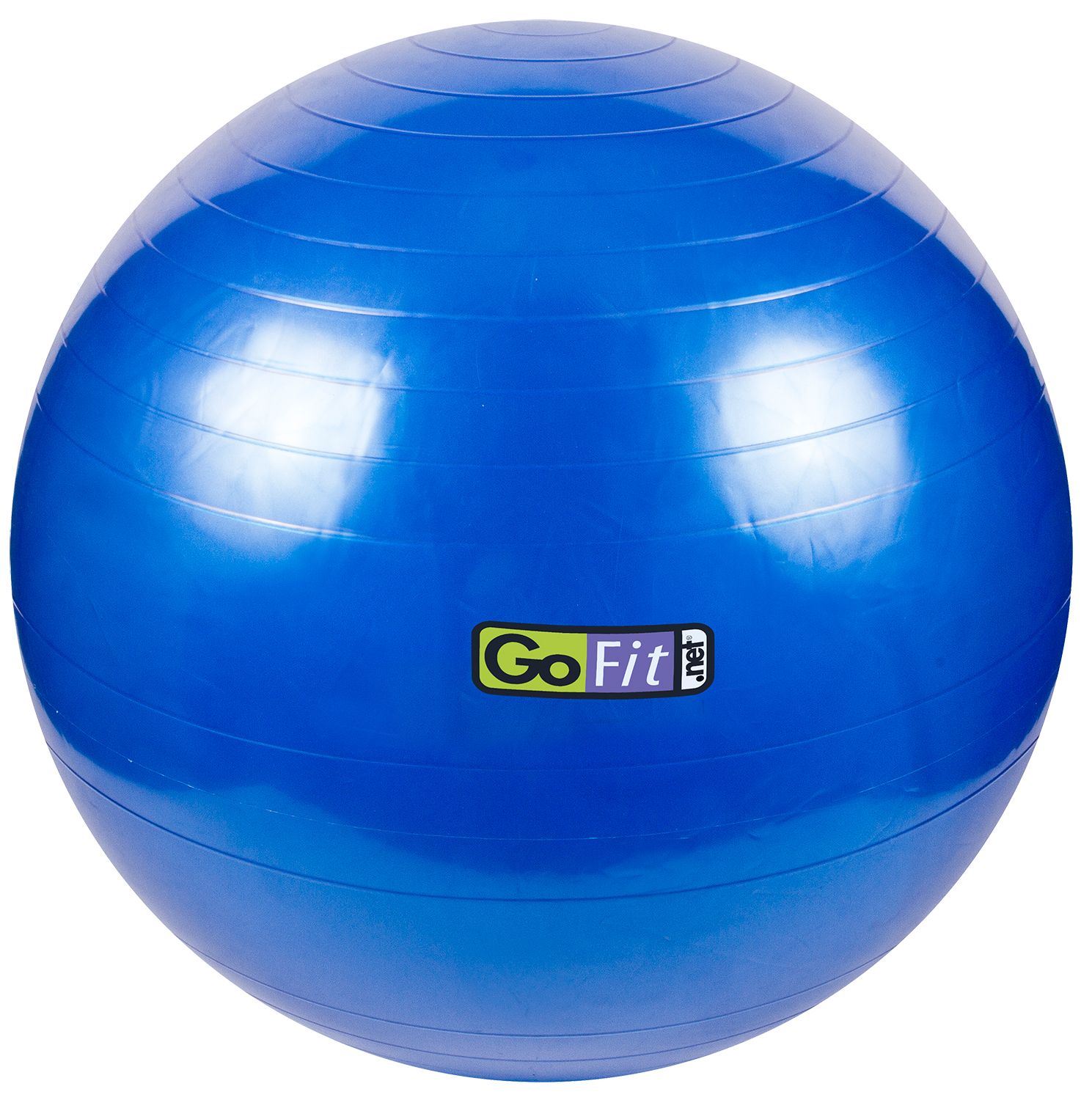 GoFit 75 cm Stability Ball | DICK'S Sporting Goods