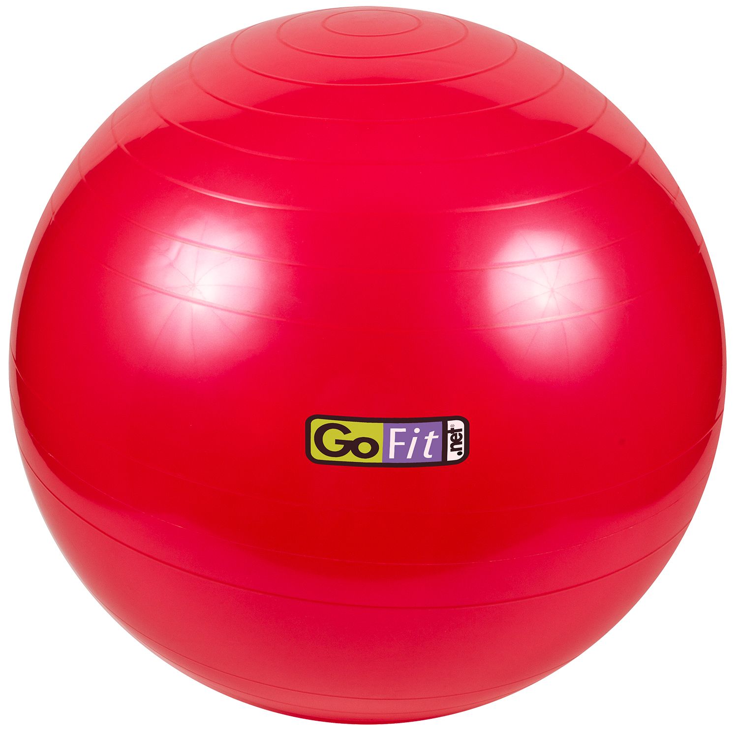 GoFit 55 cm Exercise Ball | DICK'S Sporting Goods