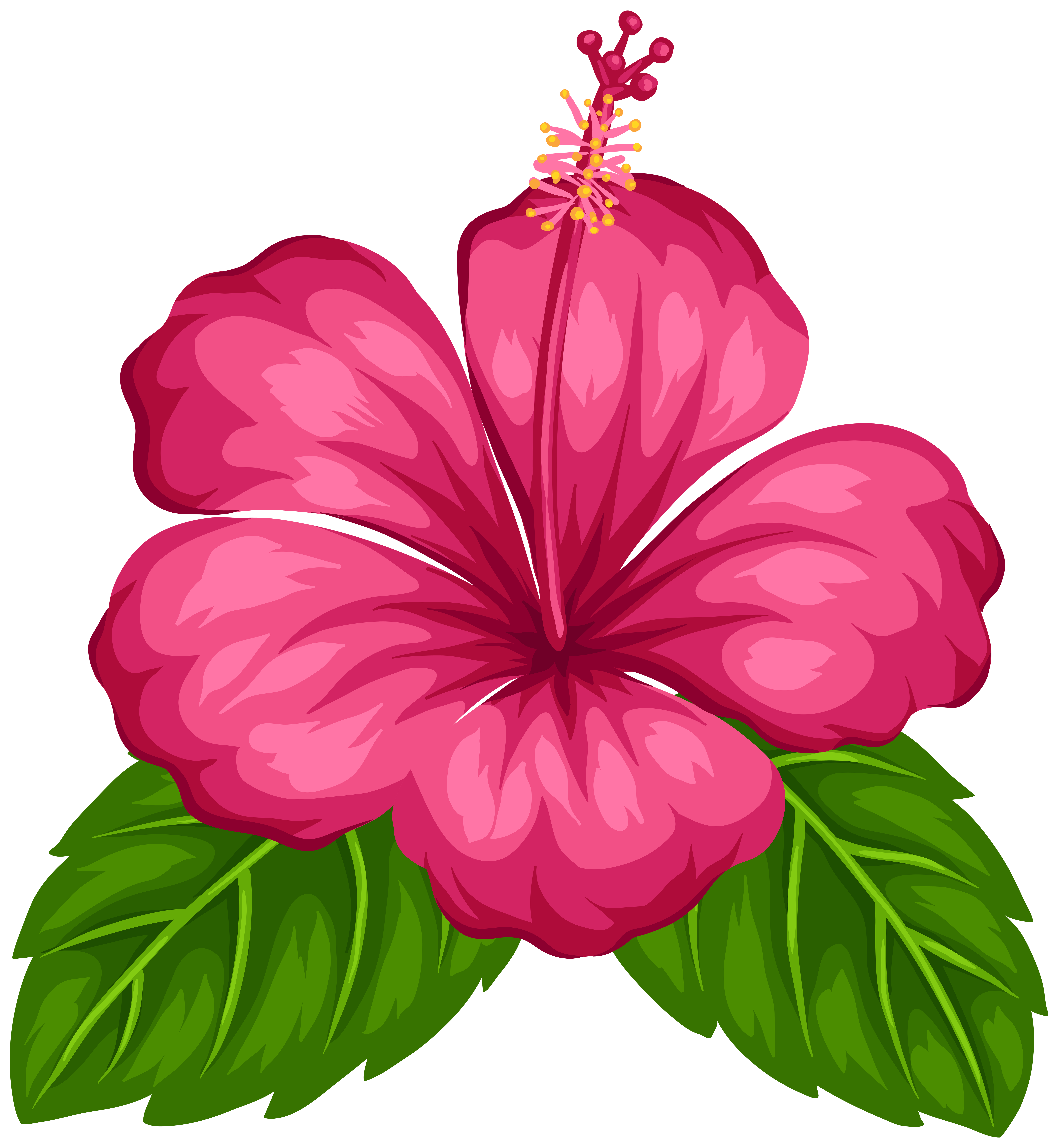 Exotic Flower PNG Clip Art - Best WEB Clipart