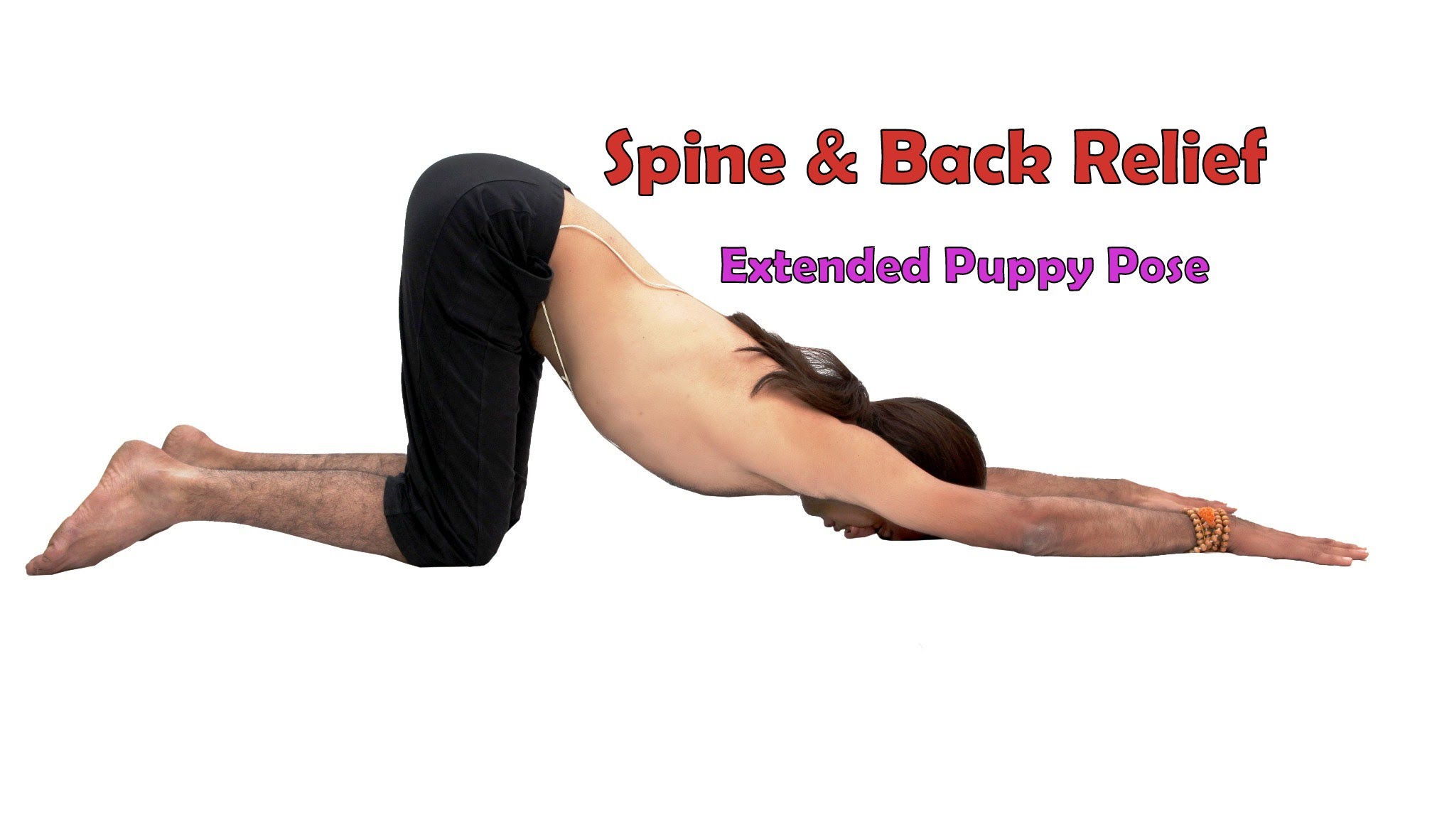 Spine Relief in Extended Puppy Pose | Uttana Shishosanasana | 2 ...