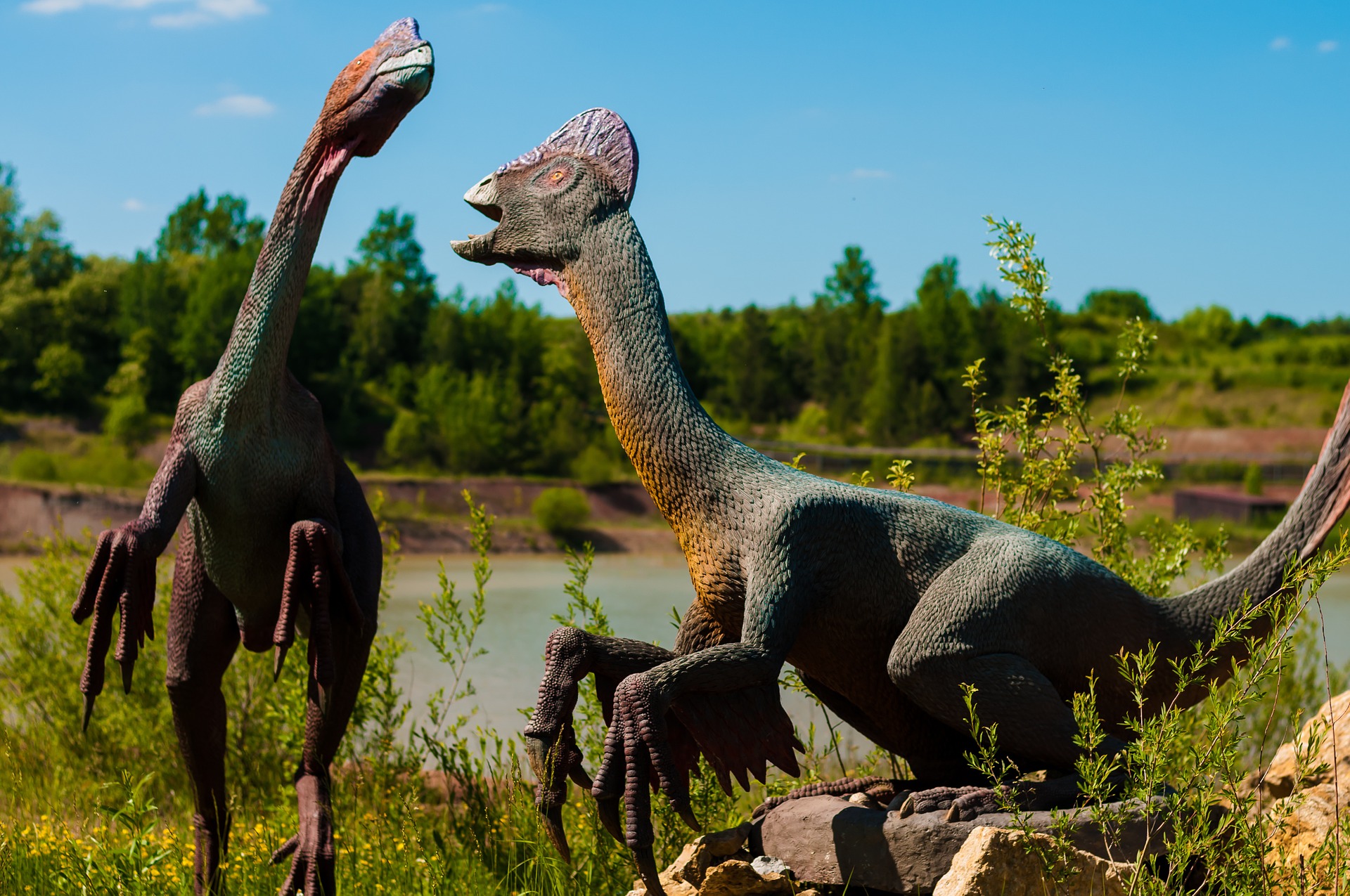 Extinct dinosaur figures photo