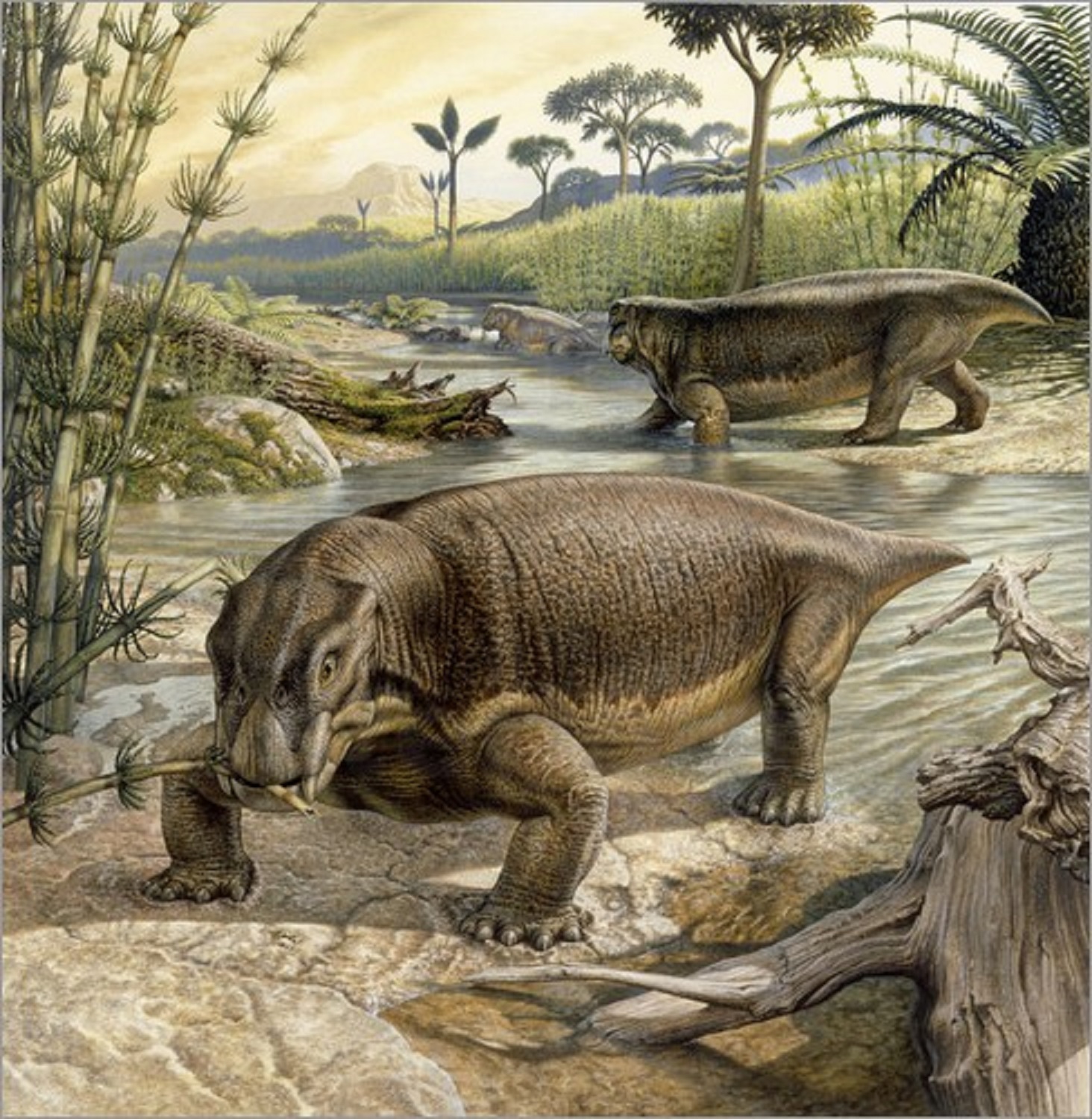 Art illustration - Dinosaurs - Lystrosaurus: is an extinct genus of ...