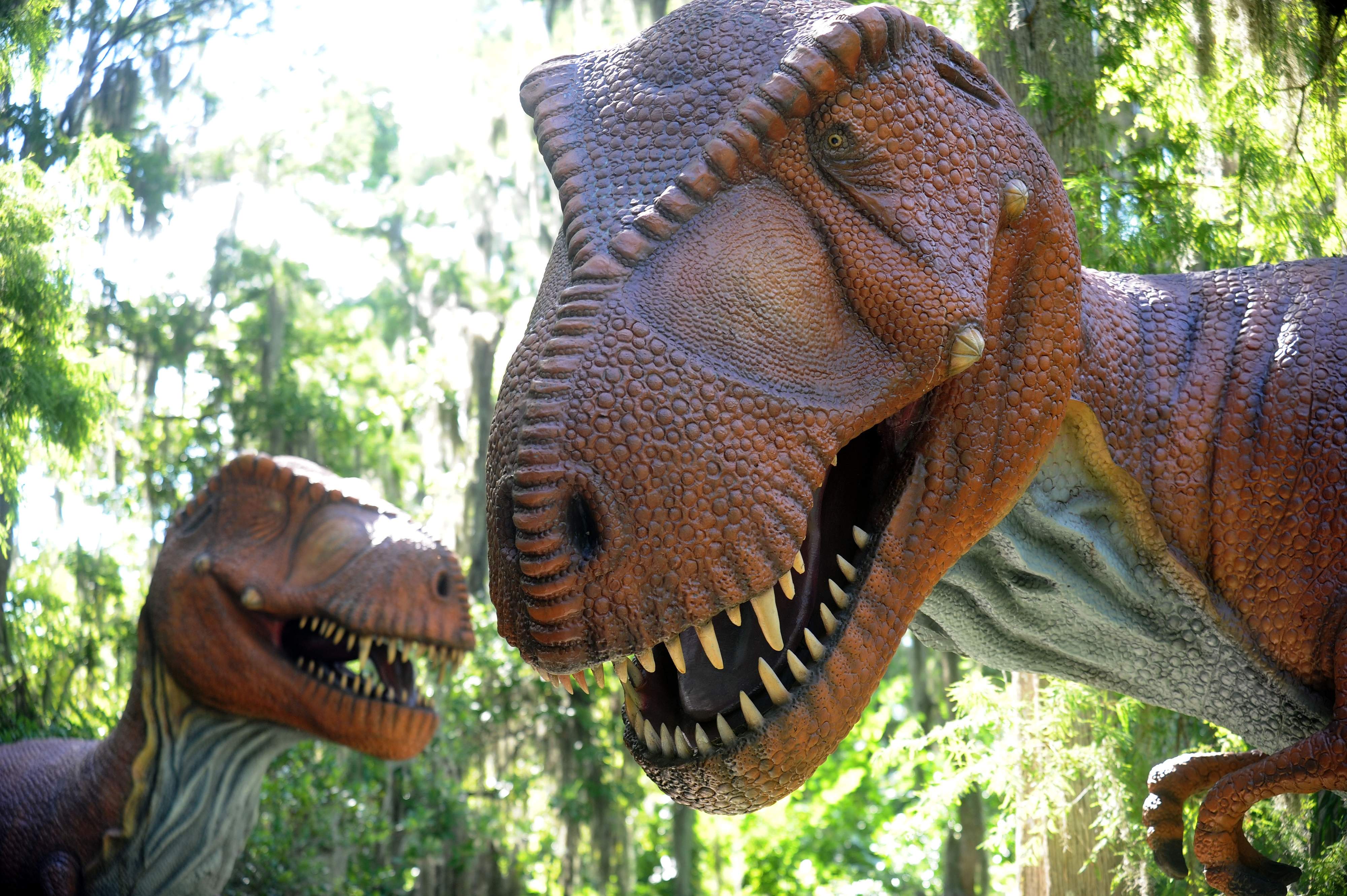 Jurassic World' spike expected at Plant City's Dinosaur World | tbo.com
