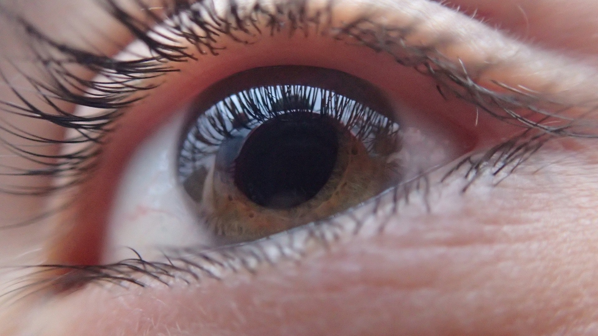 Extreme close-up of woman eye photo